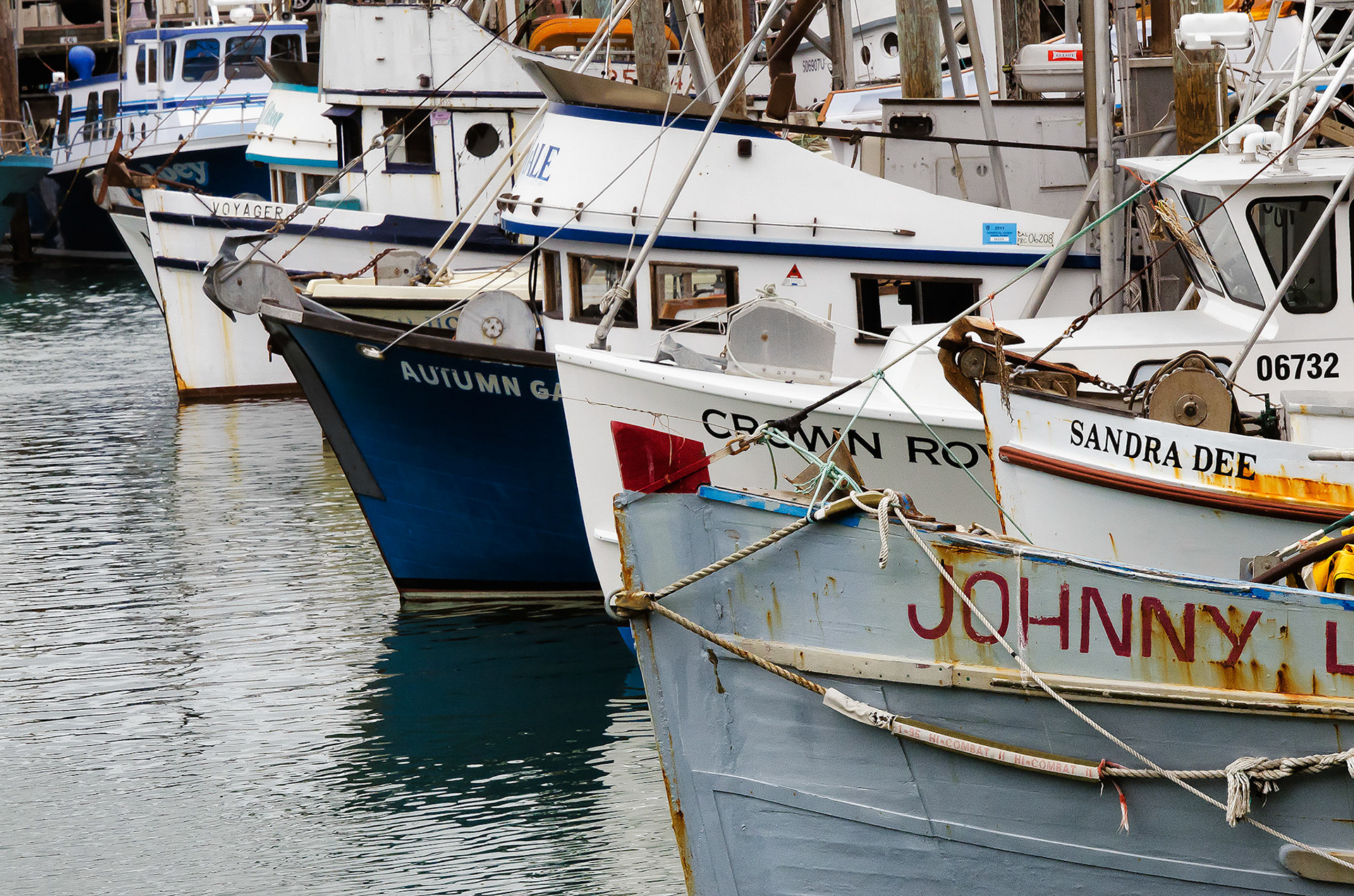 Fisherman's Wharf in San Francisco, CA is still a working harbour as these docked boats attest.