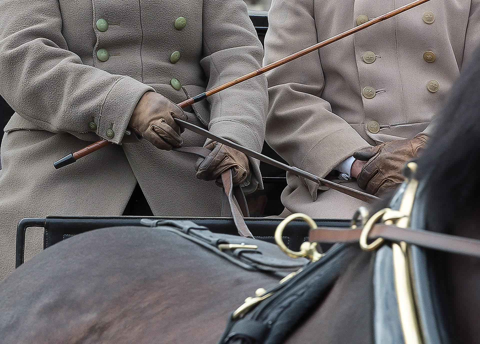 Queens carriage drivers