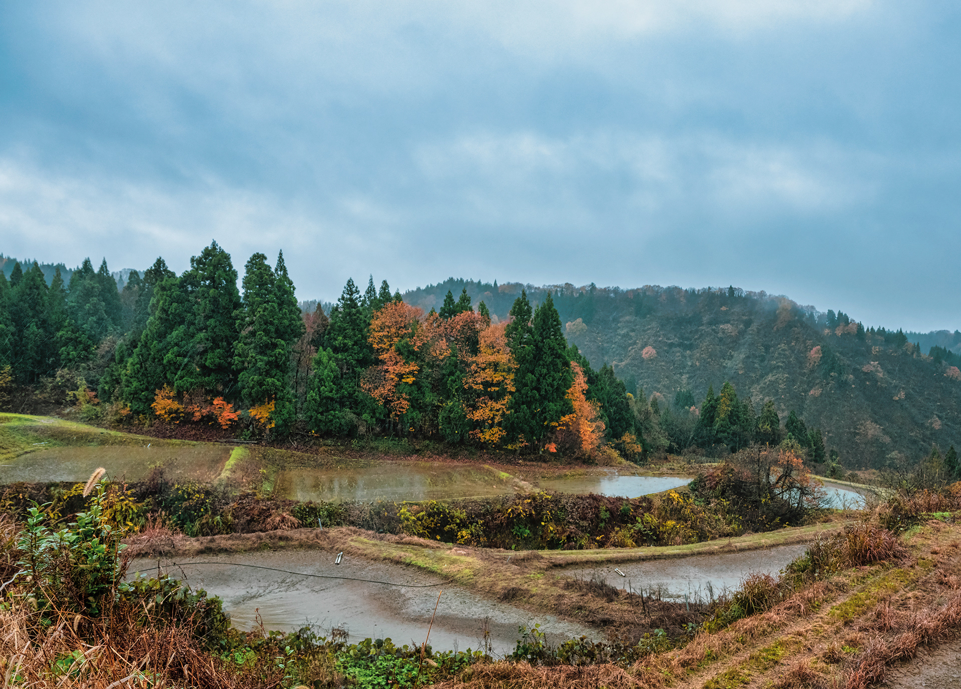 The koi ponds at Fukusawa seem to go one endlessly thru the mountains