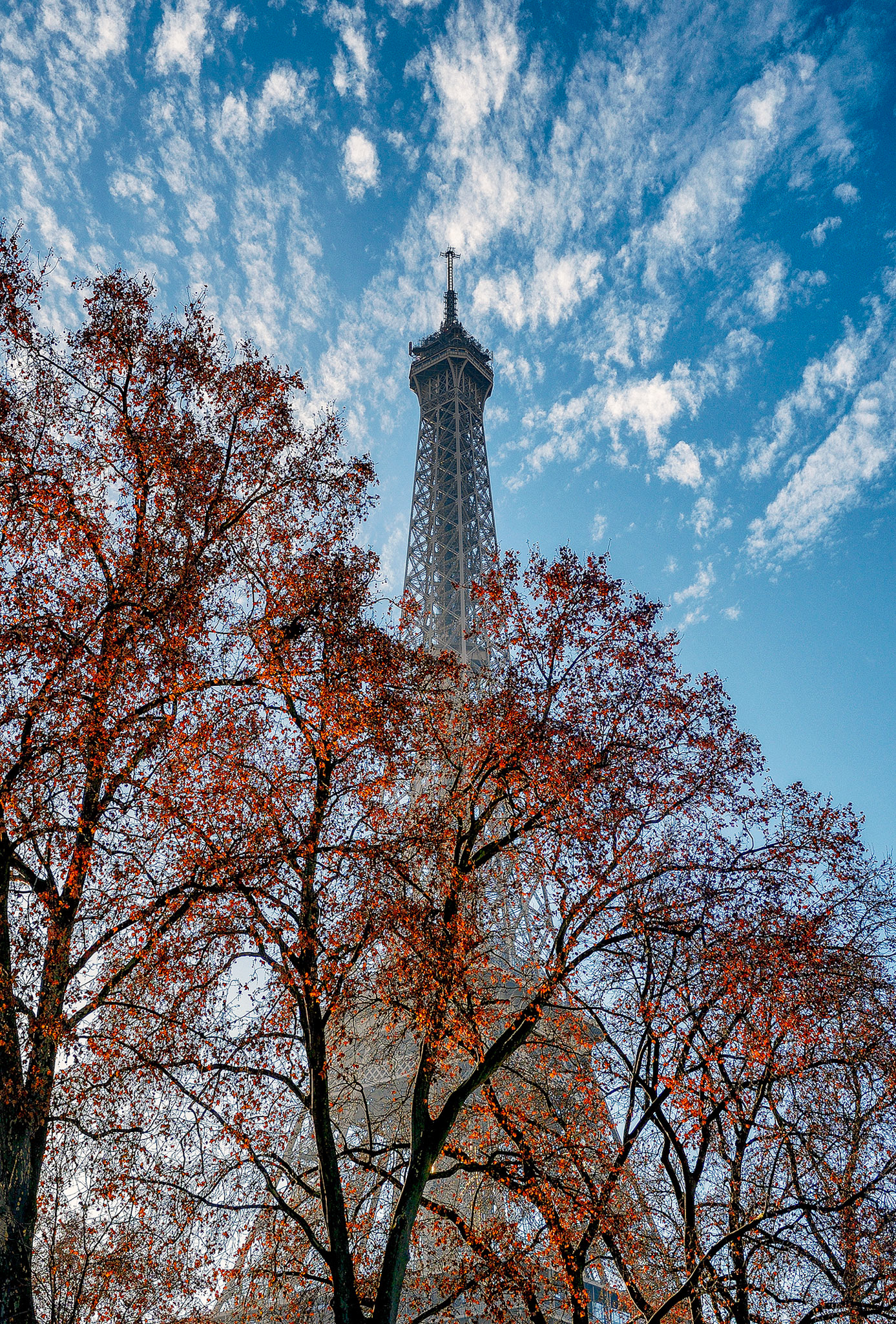 Eiffel Tower in Autumn