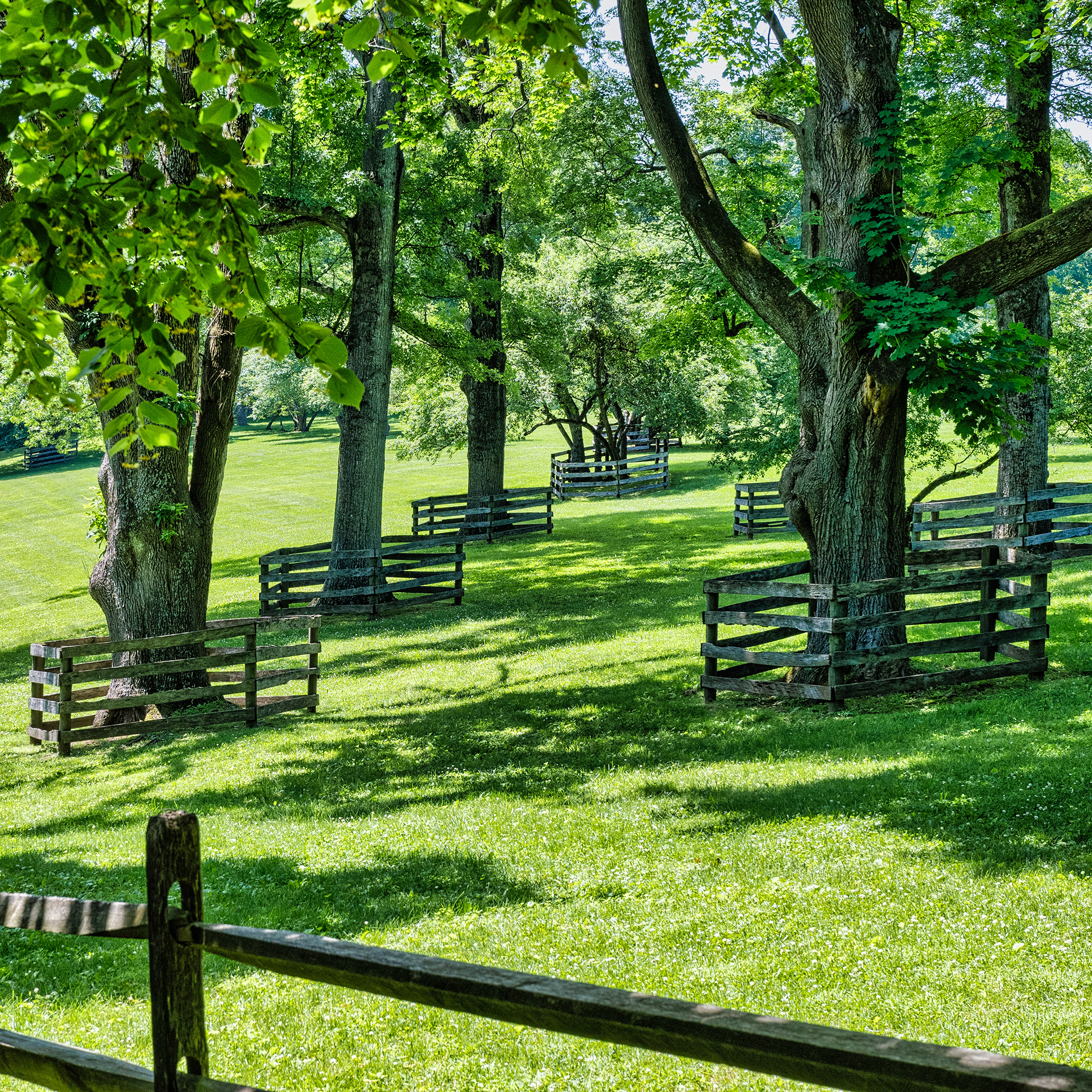 Pastures and farms are a good part of Bedford and it's character.