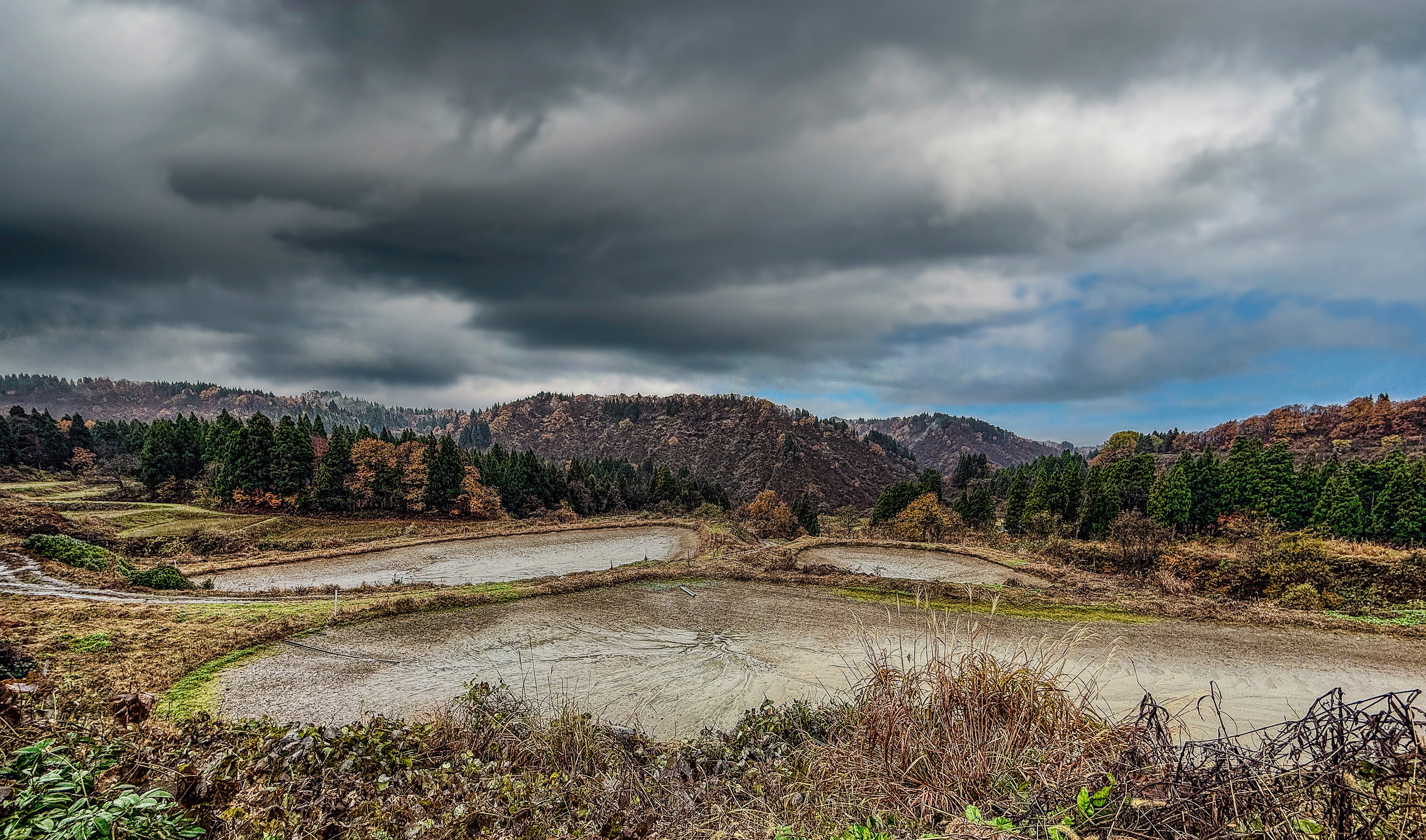 There are 100 "mud ponds" at the Fukusawa Koi Farm