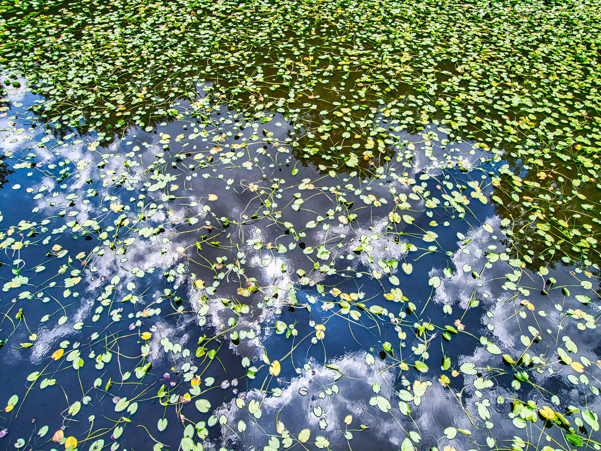 Clouds reflected in Pea Pond