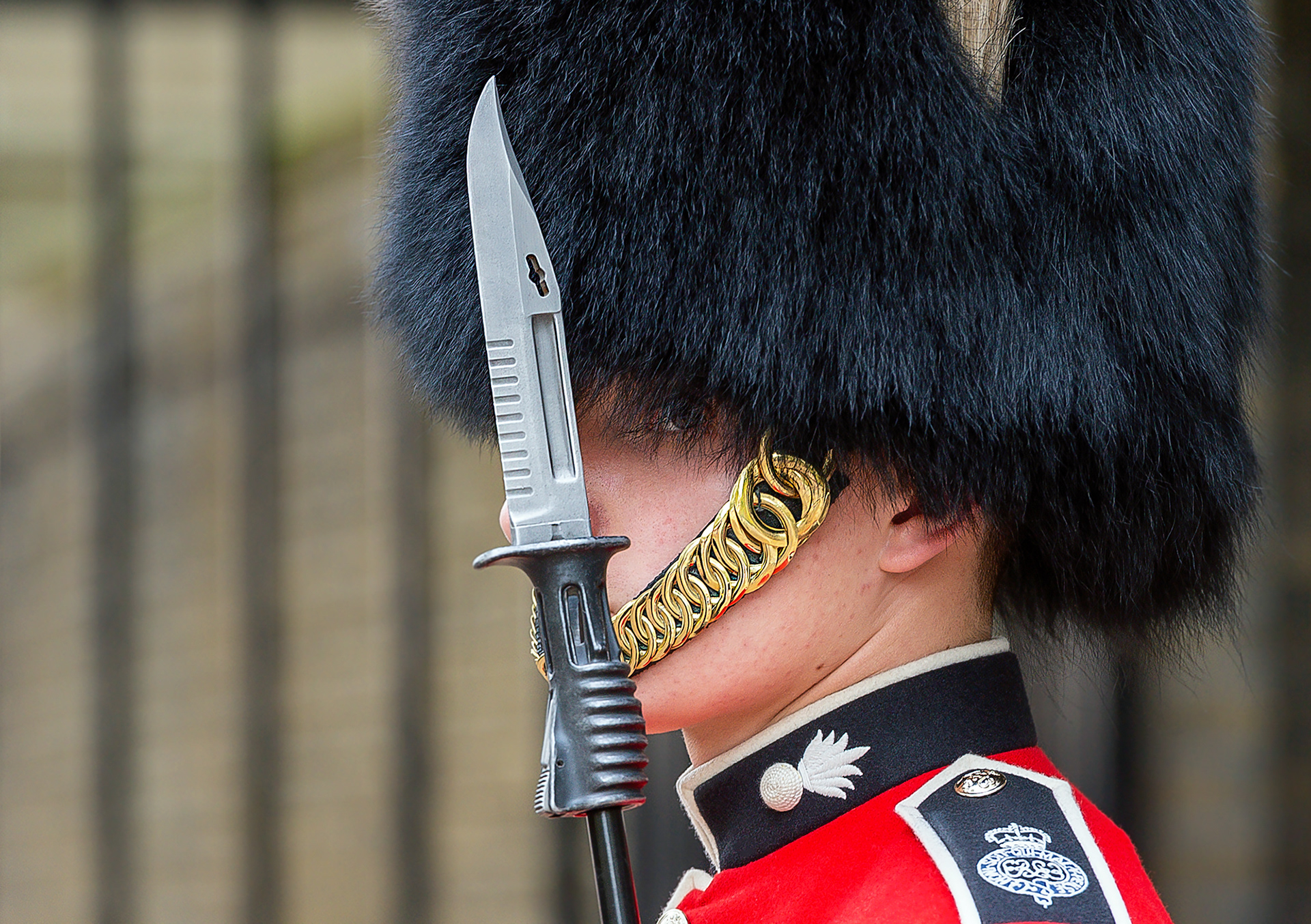 Queens Guard, London