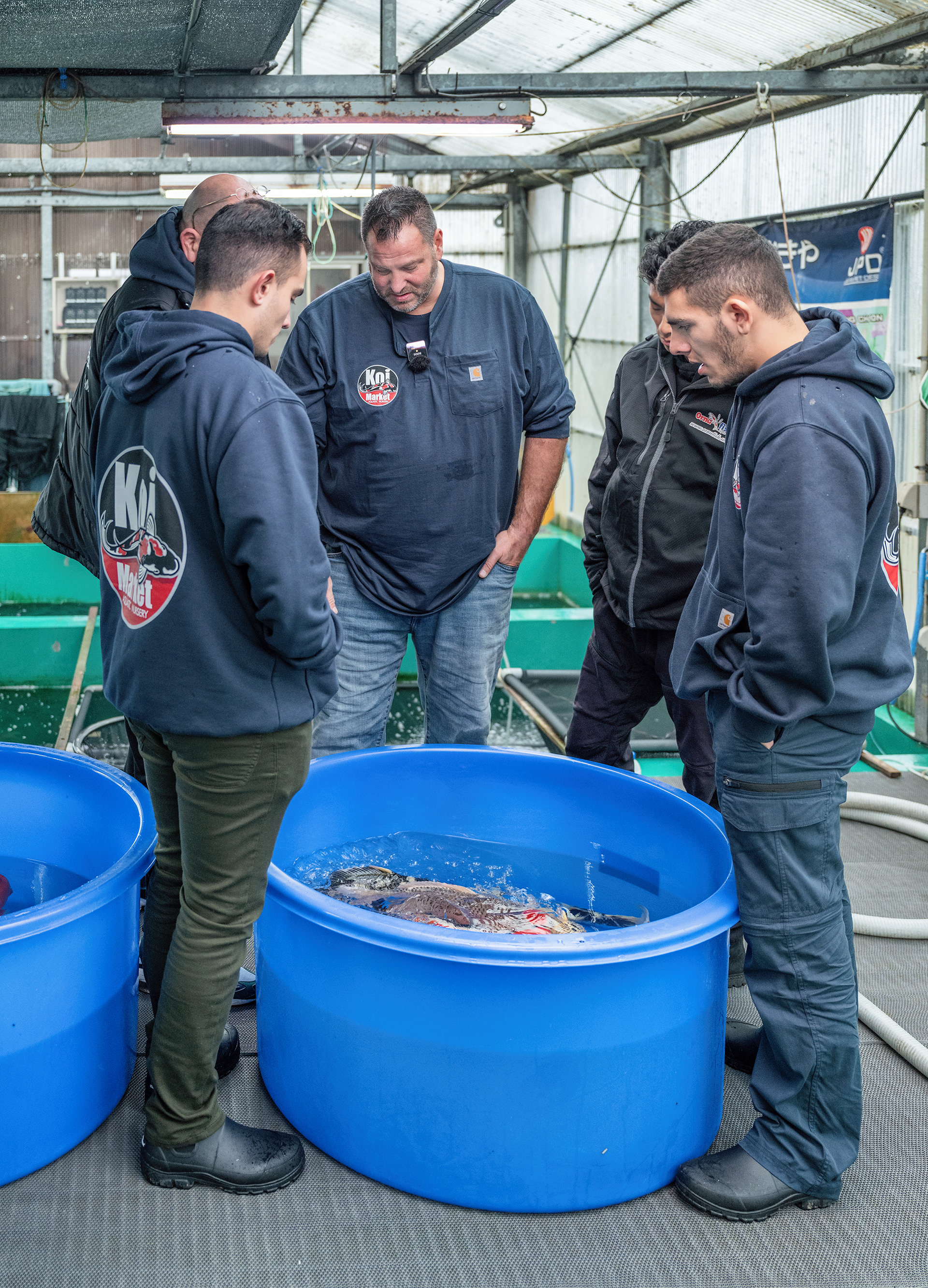 Decisions, Decisions