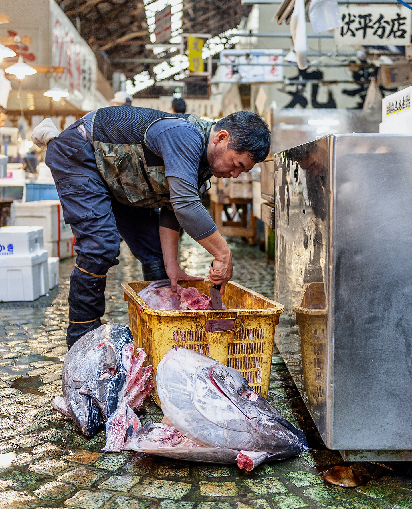 Tuna heads, Tsukiji Market