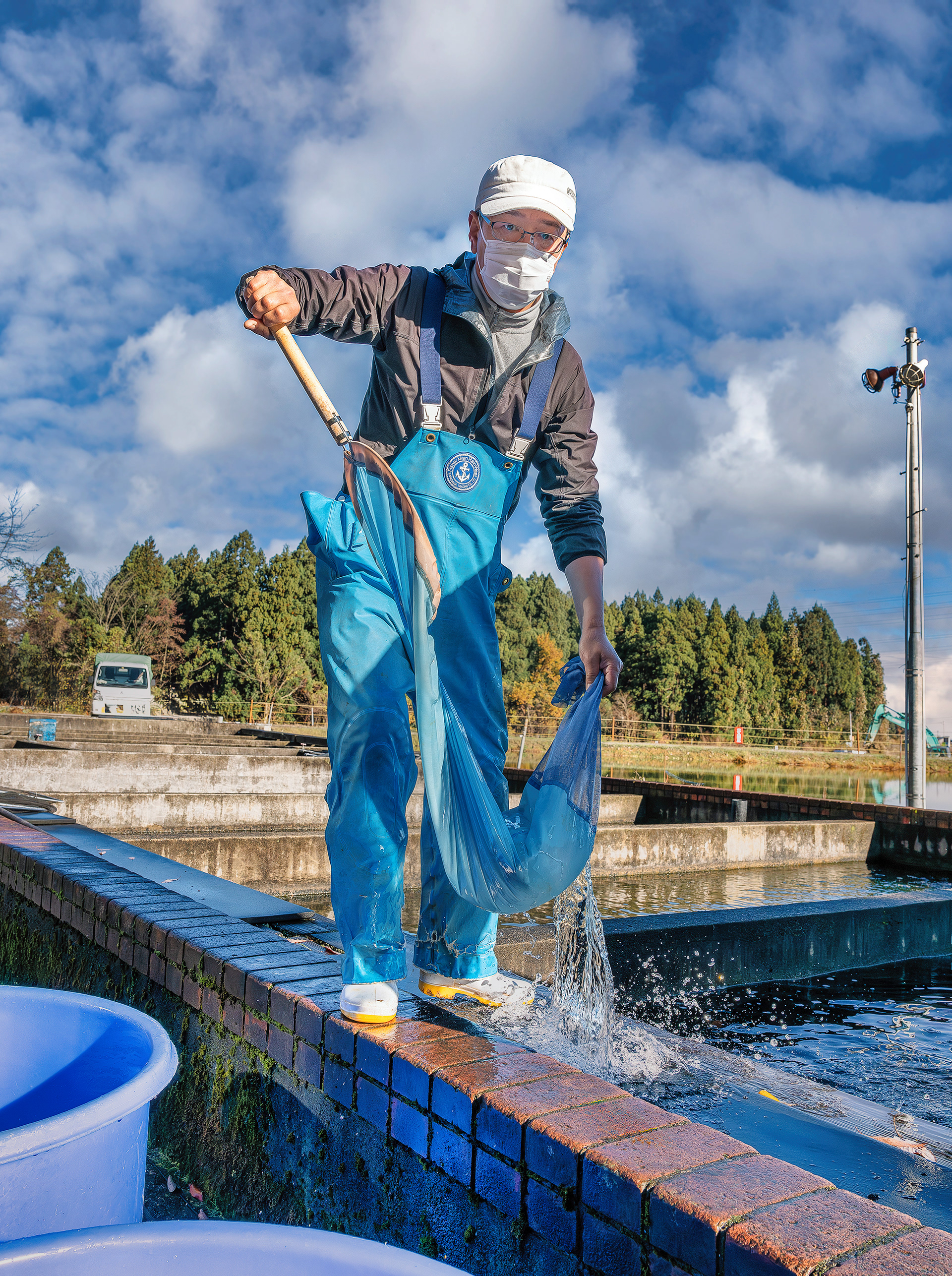 Suda Koi Farm puts the selected Koi into the holding tub