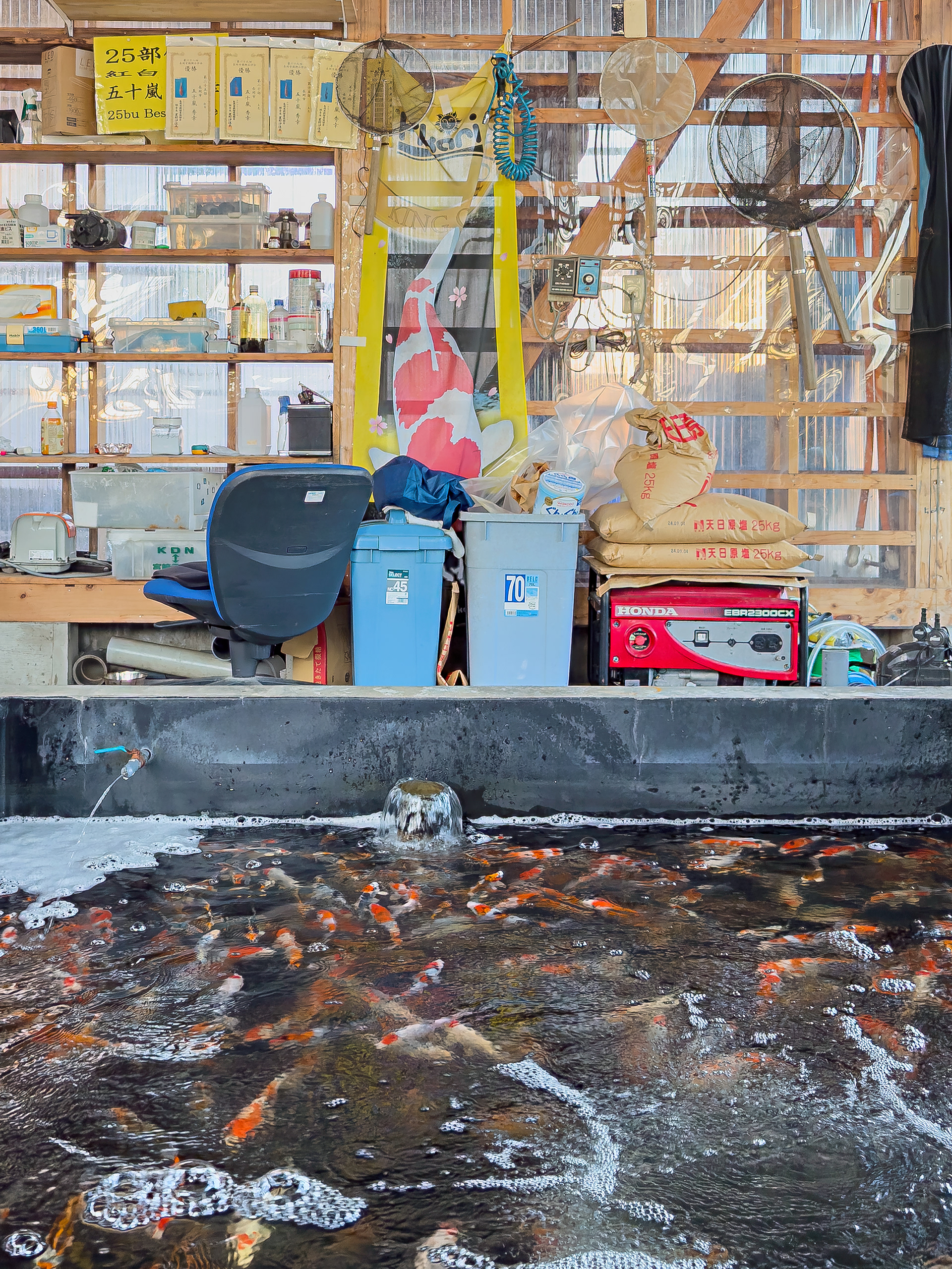 Marushin Koi Farm small pond and storage