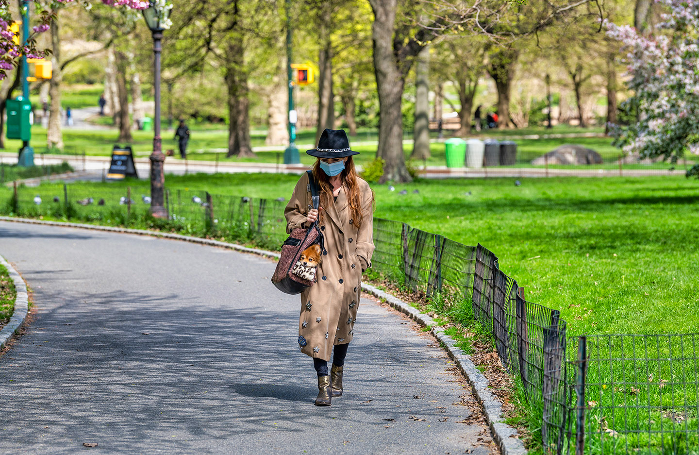 Woman wearing mask with dog in purse walks in Central Park during COVID19 lock down.