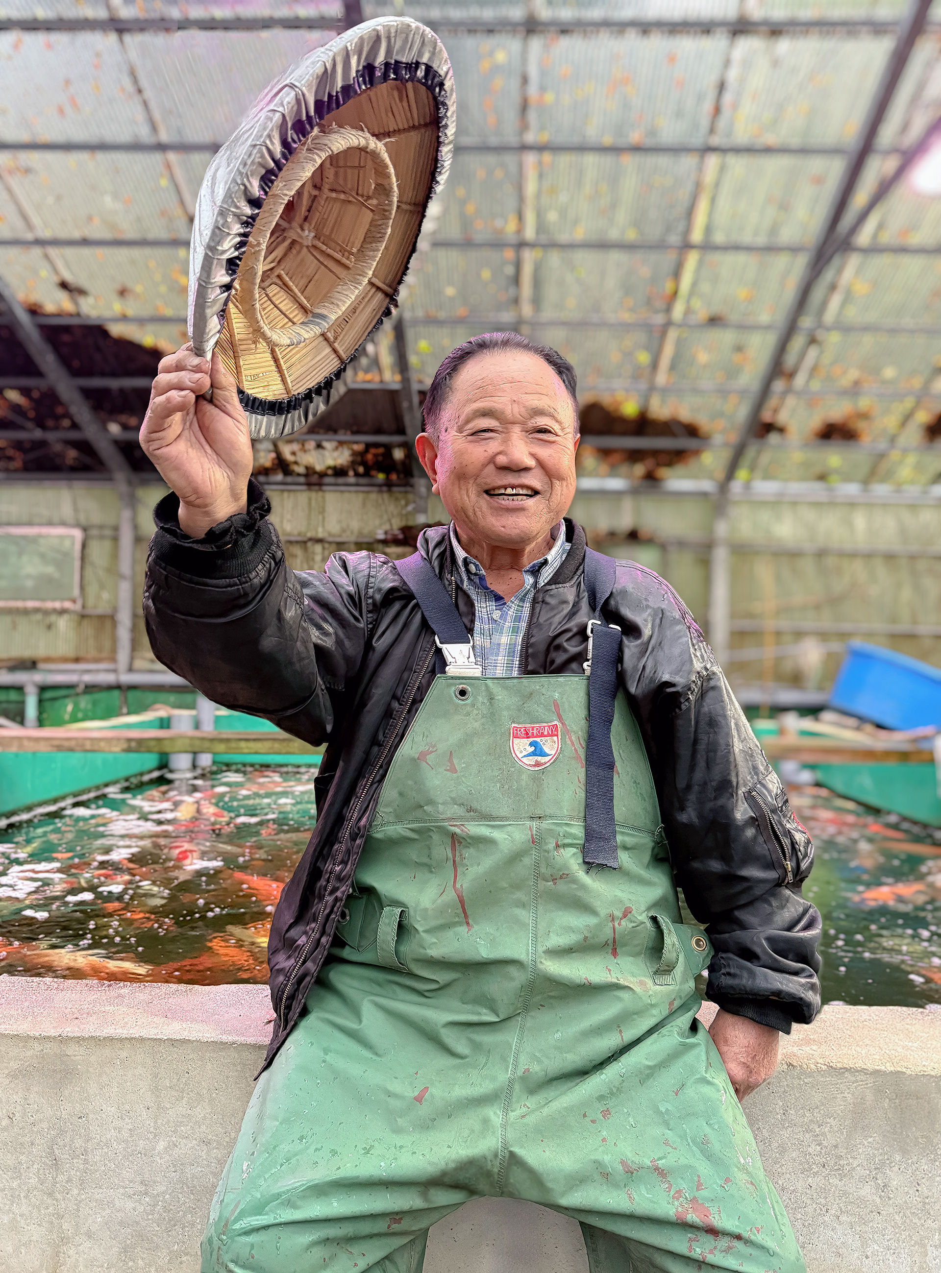 Seitaro Hirasawa, a Legendary Koi Breeder, founder of Marusei Koi Farm