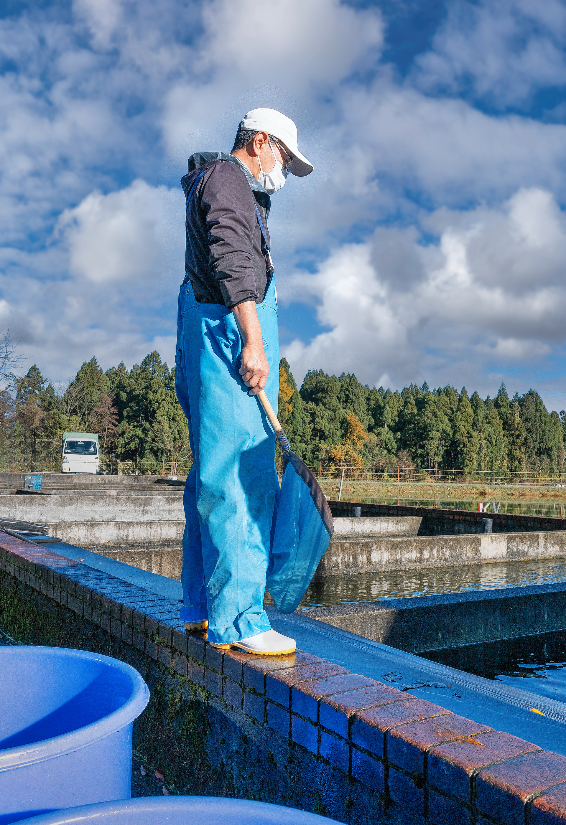 Where are you my little Koi friend