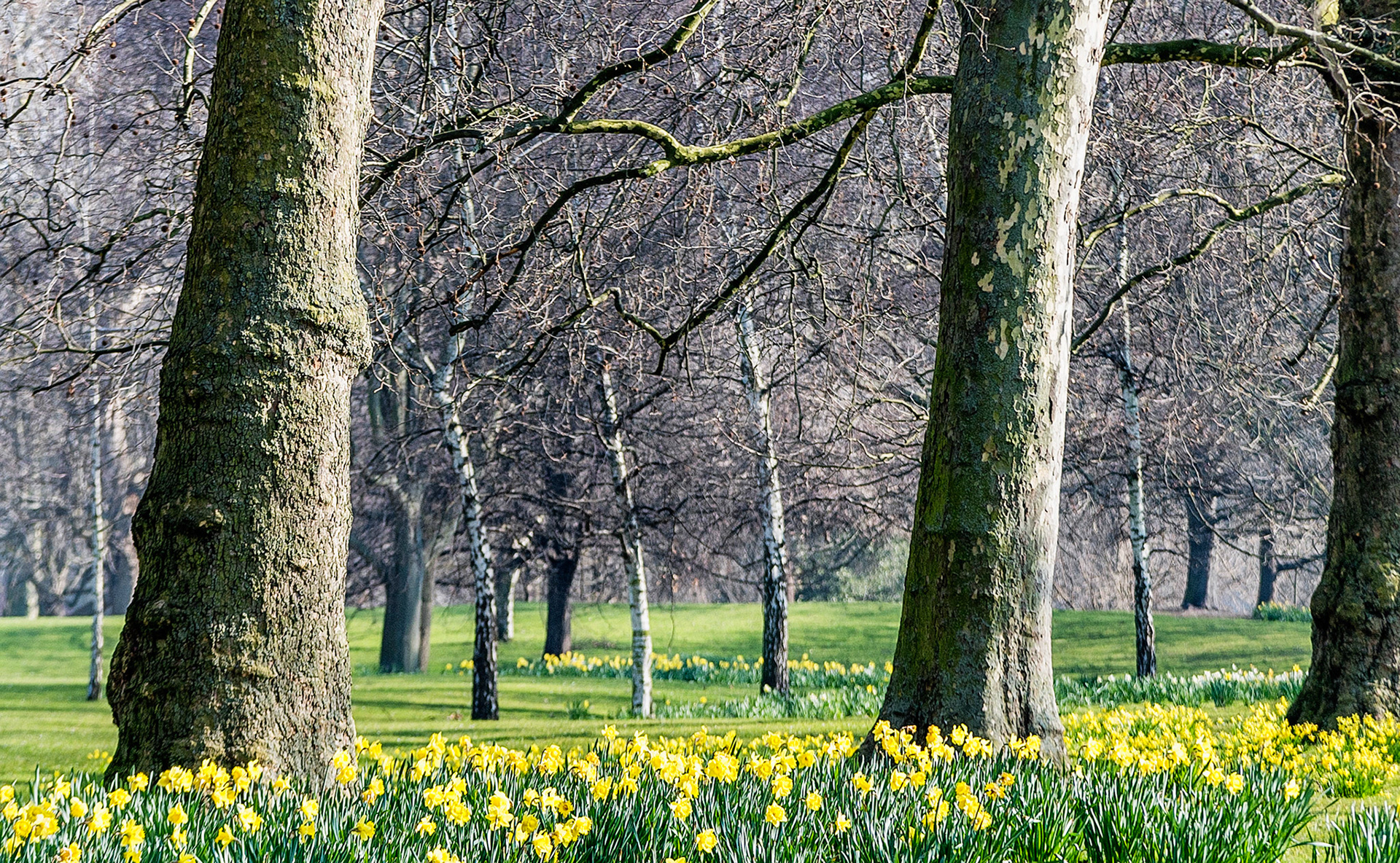 Green Park, London UK