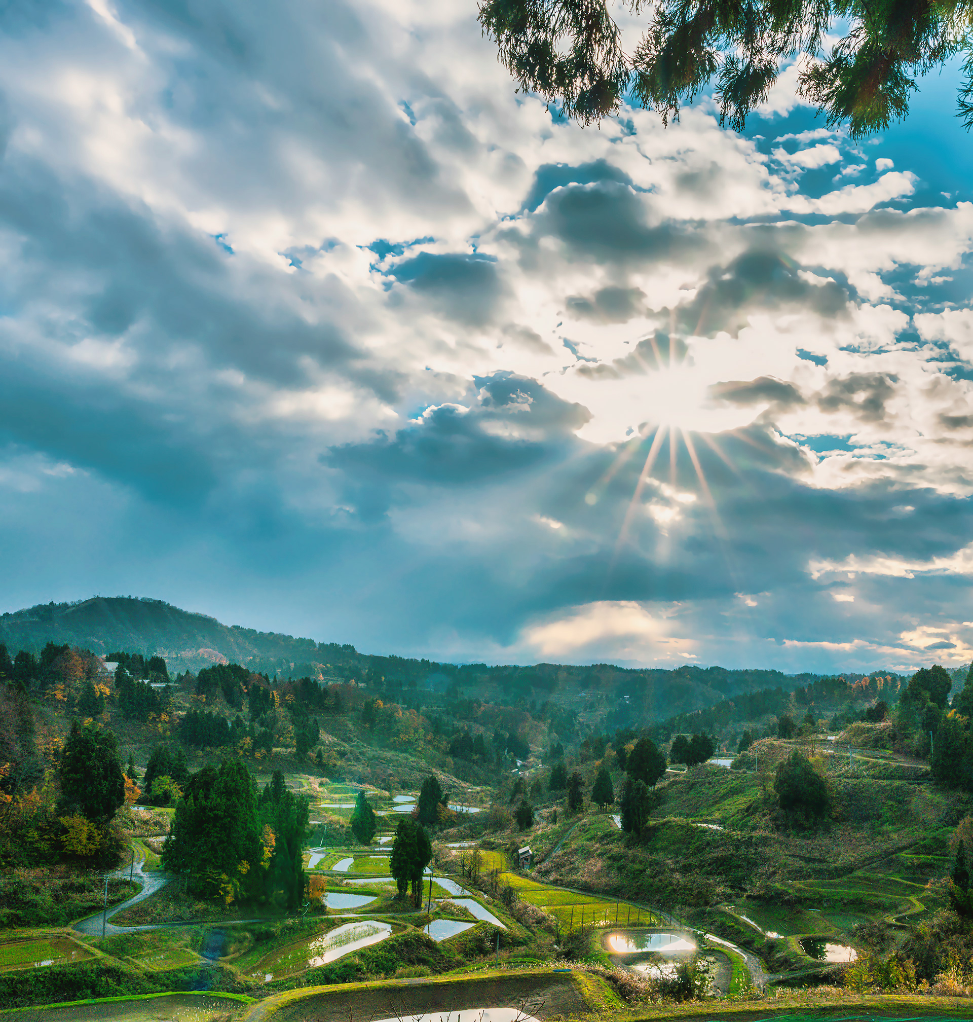 Koi Ponds dot the hillsides of the mountain around Ojiya, Japan