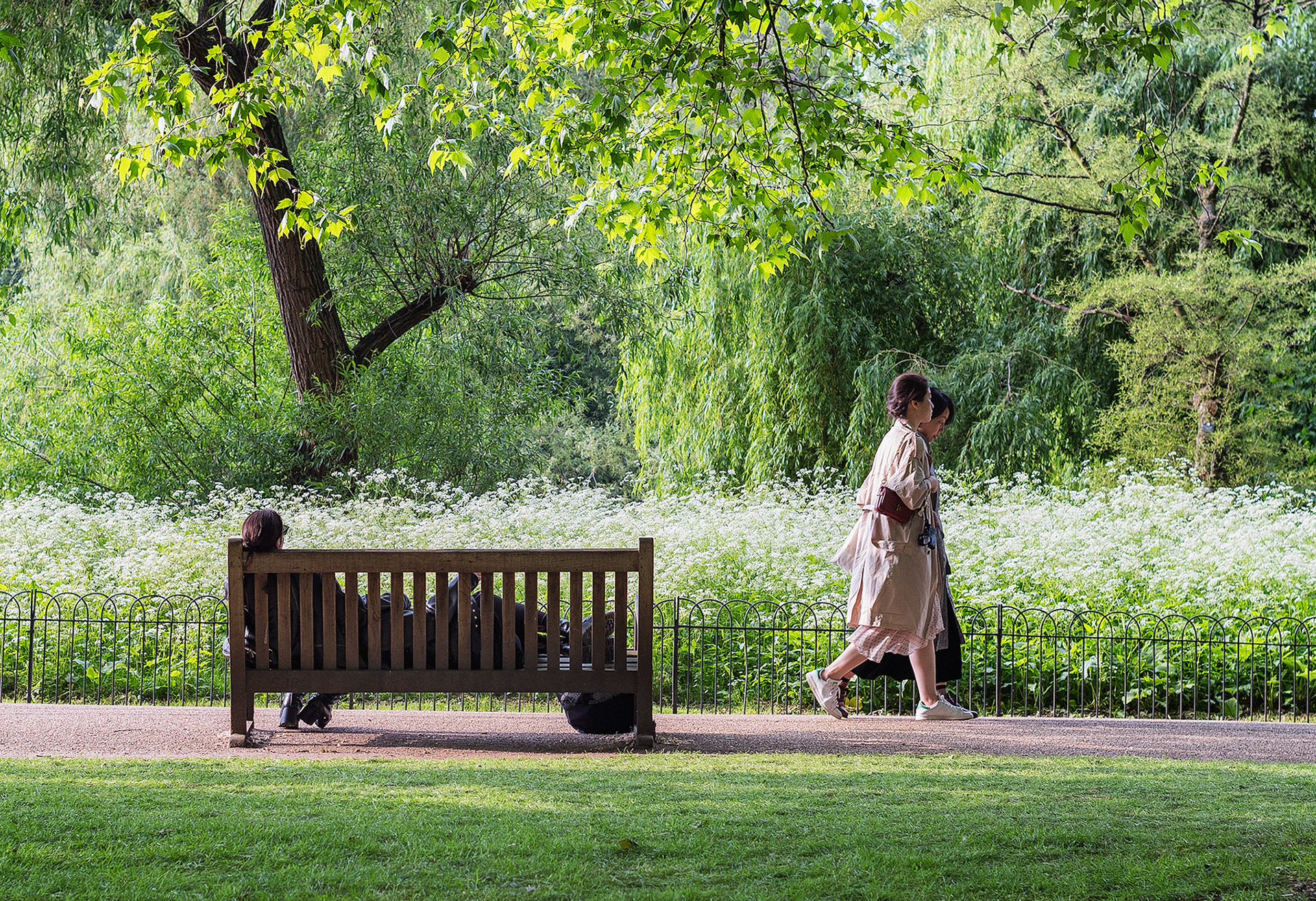 St. James Park morning walk