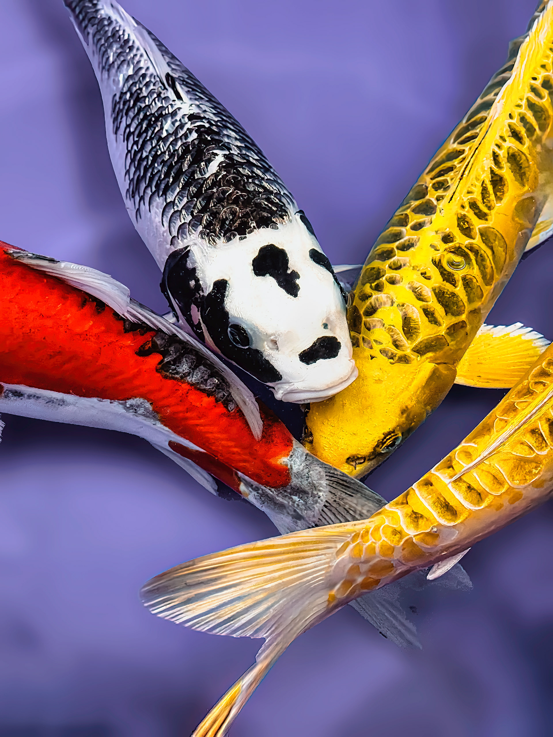 Hello friends chosen to fly to America