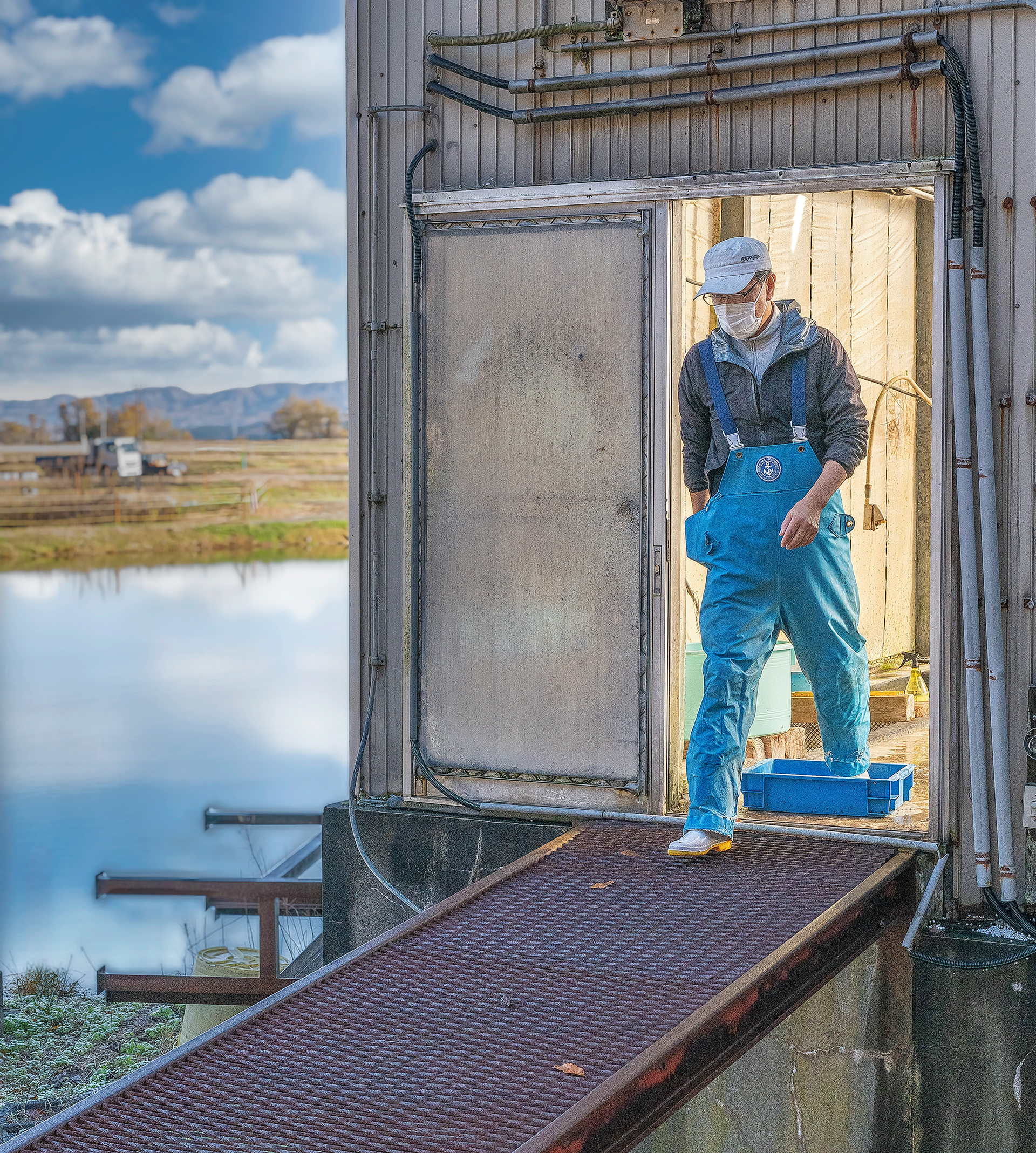 Work never stops at Suda Kai Koi Farm