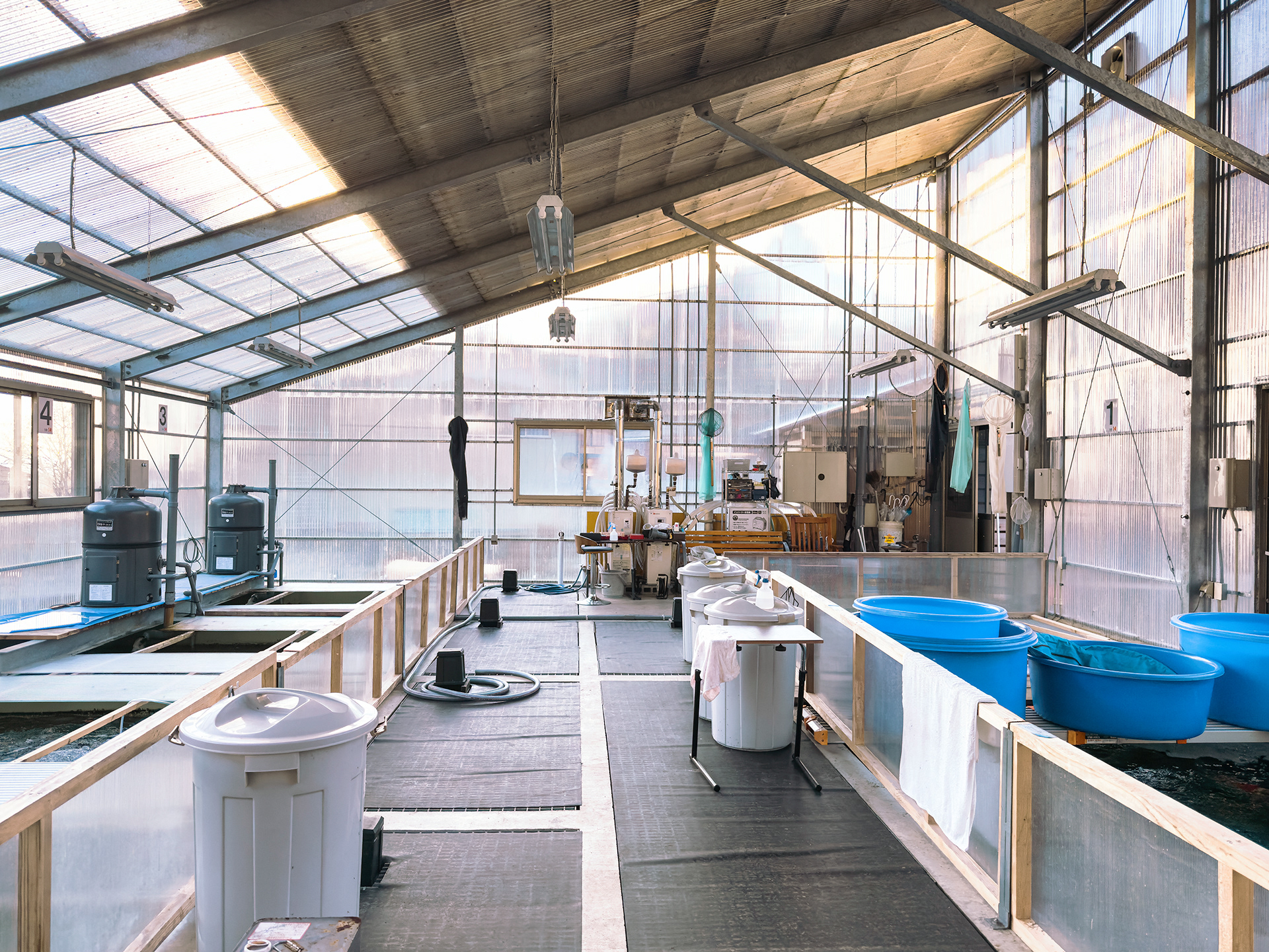 Marushin Koi Farm state of the art inside pond