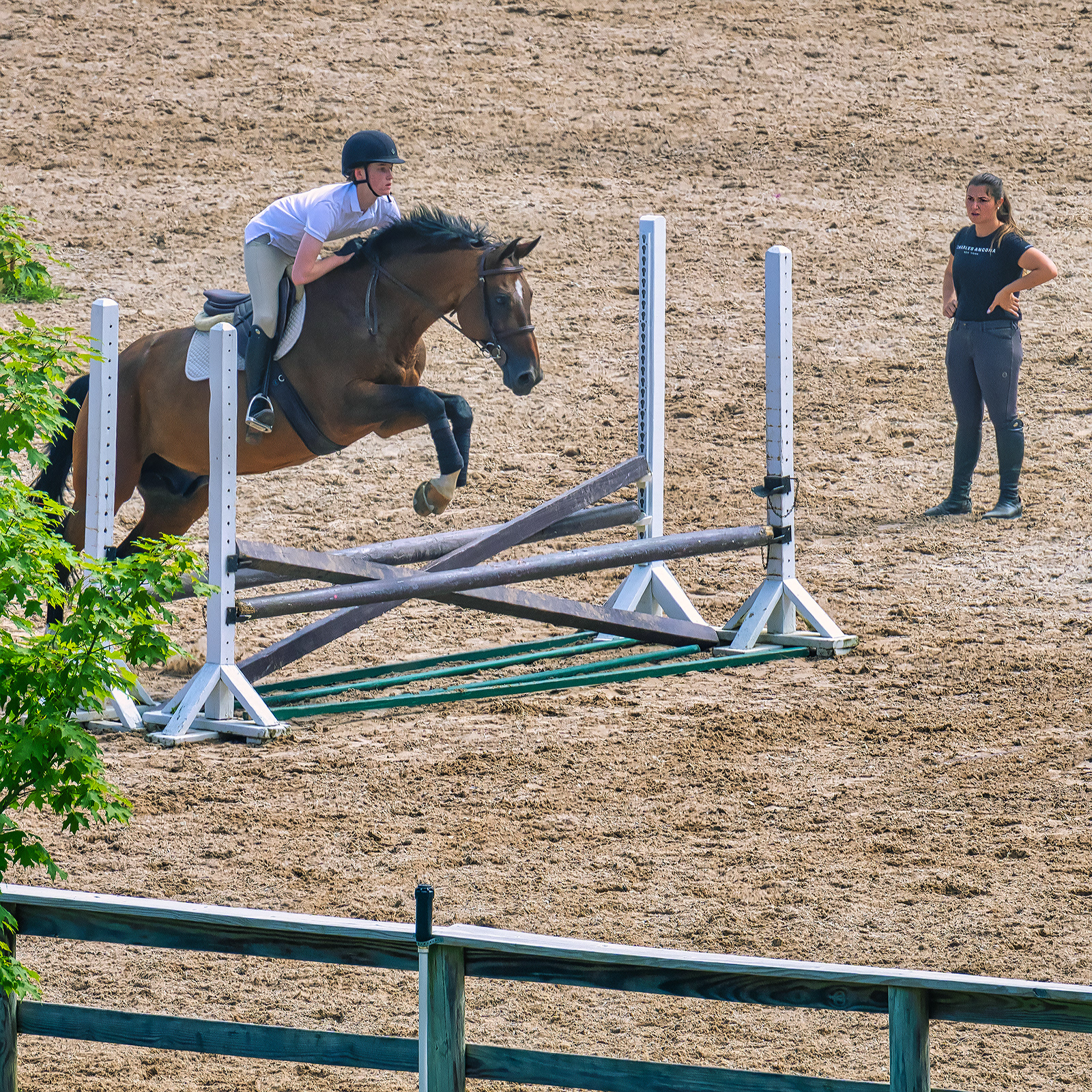 Equestrian Centers fit perfectly in Bedford.