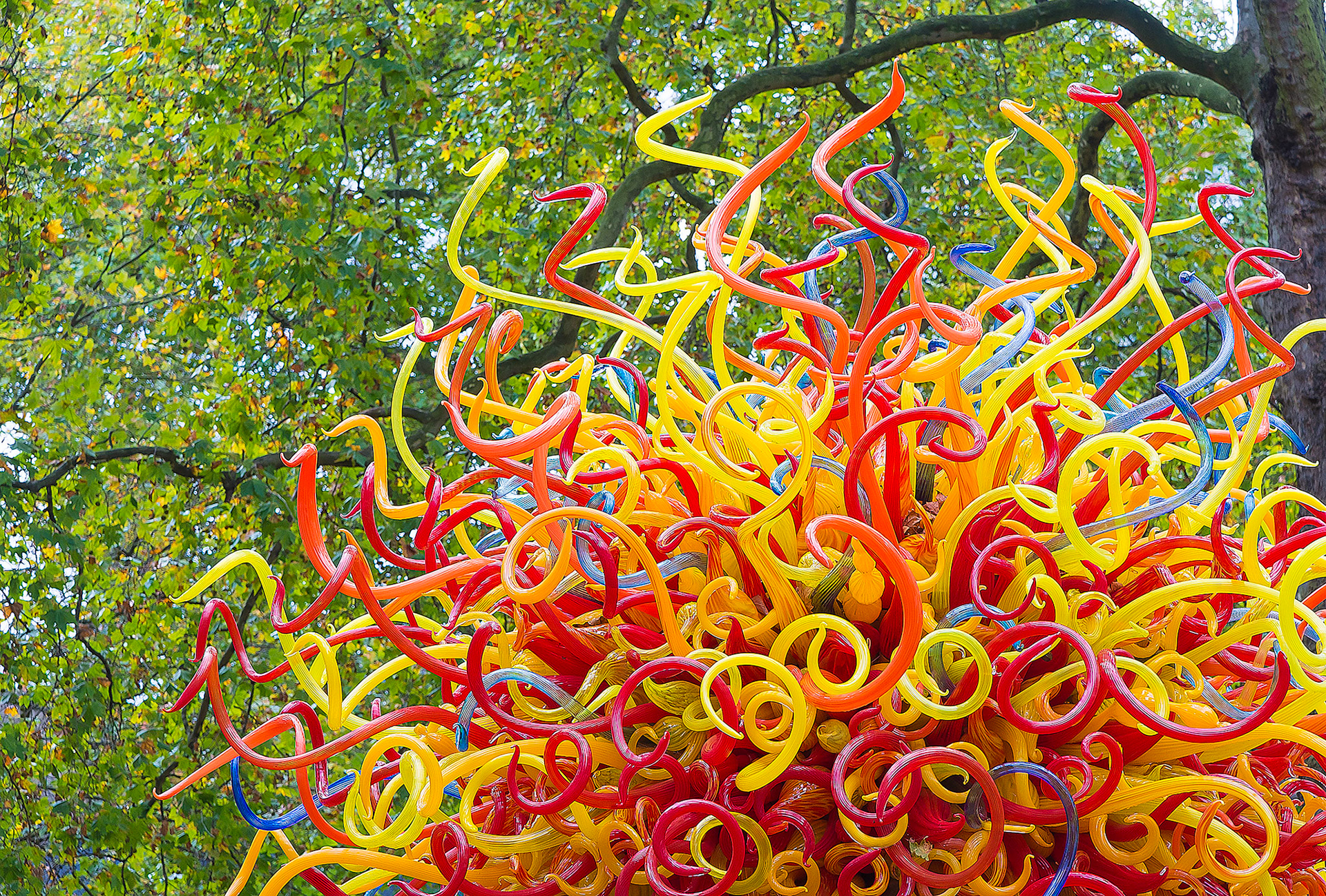 Dale Chihuly art in Berkeley Square Park, London