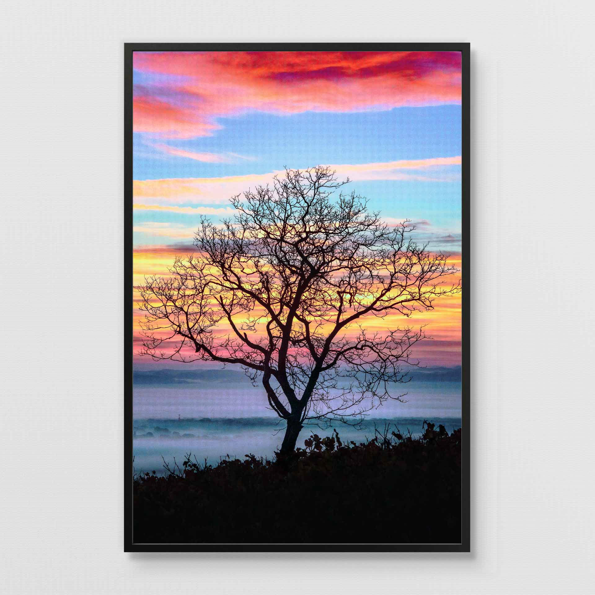 Gorgeous sunrise and a tree