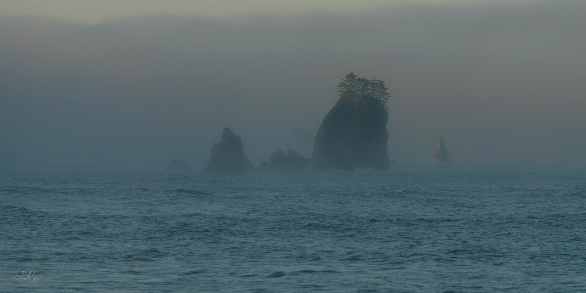 Coastline olympic national park