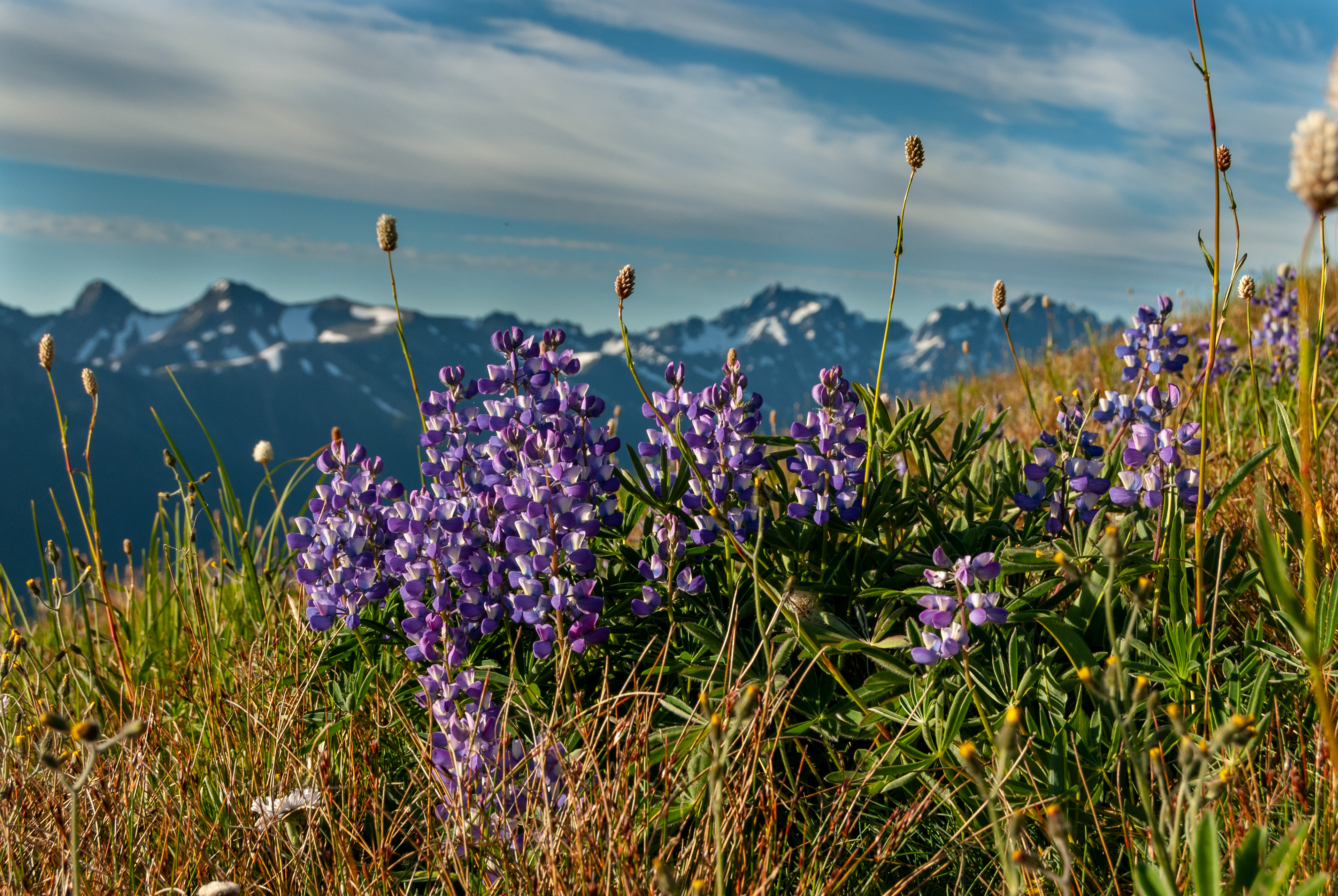 Buckhorn Wilderness