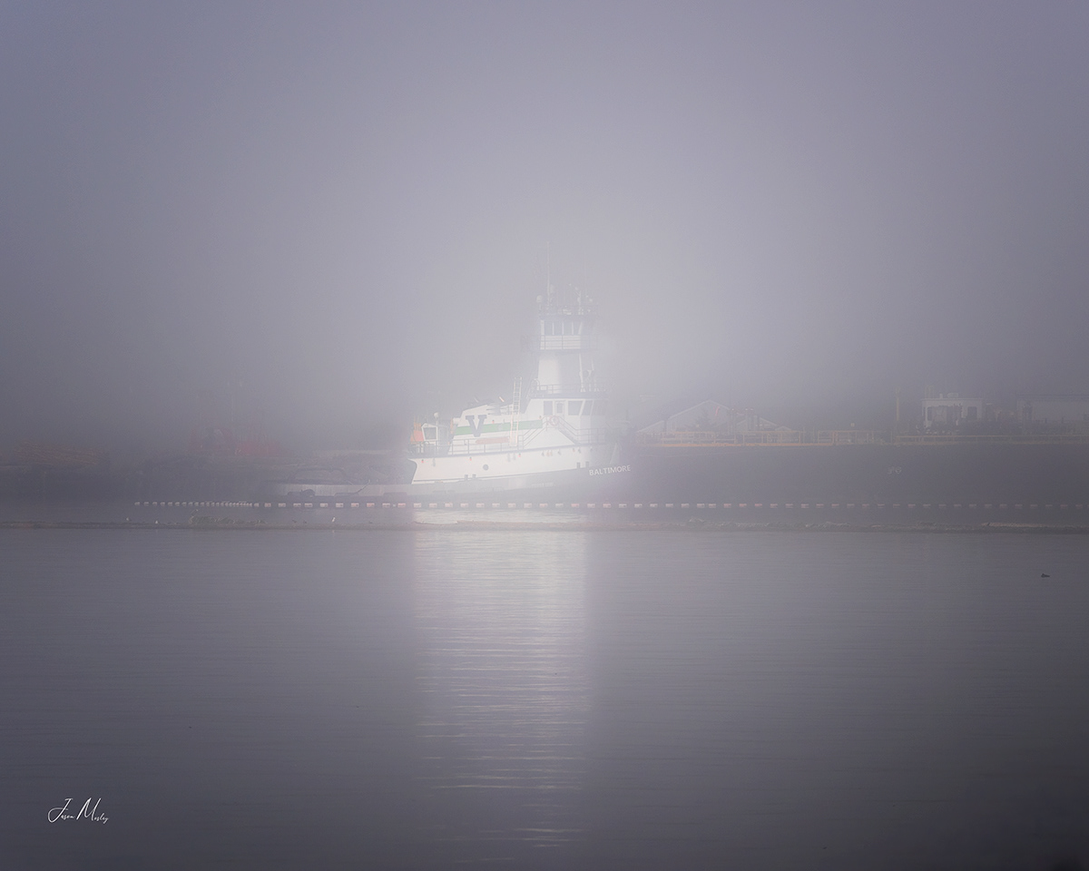•	Foggy Day with Vane Brothers Tug