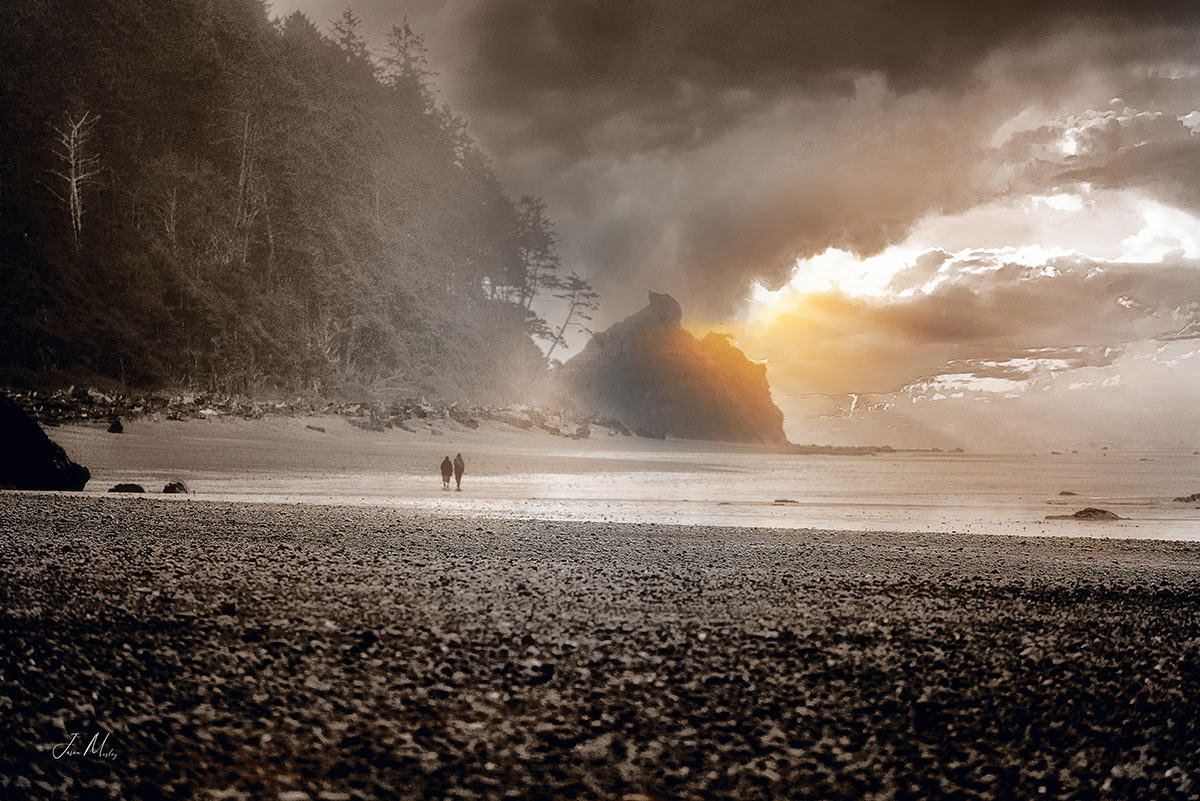 Ruby beach Olympic National Park