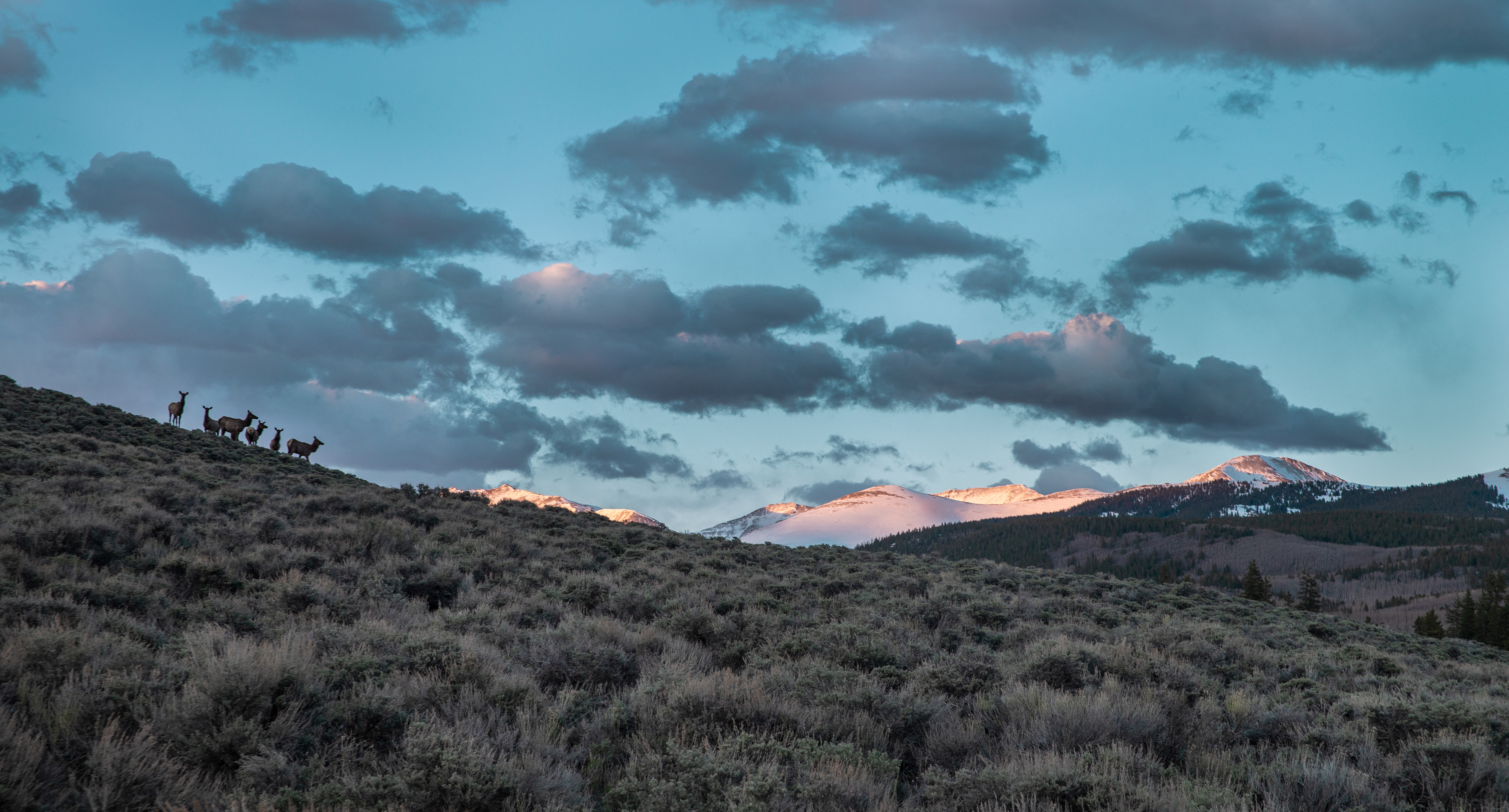 Colorado