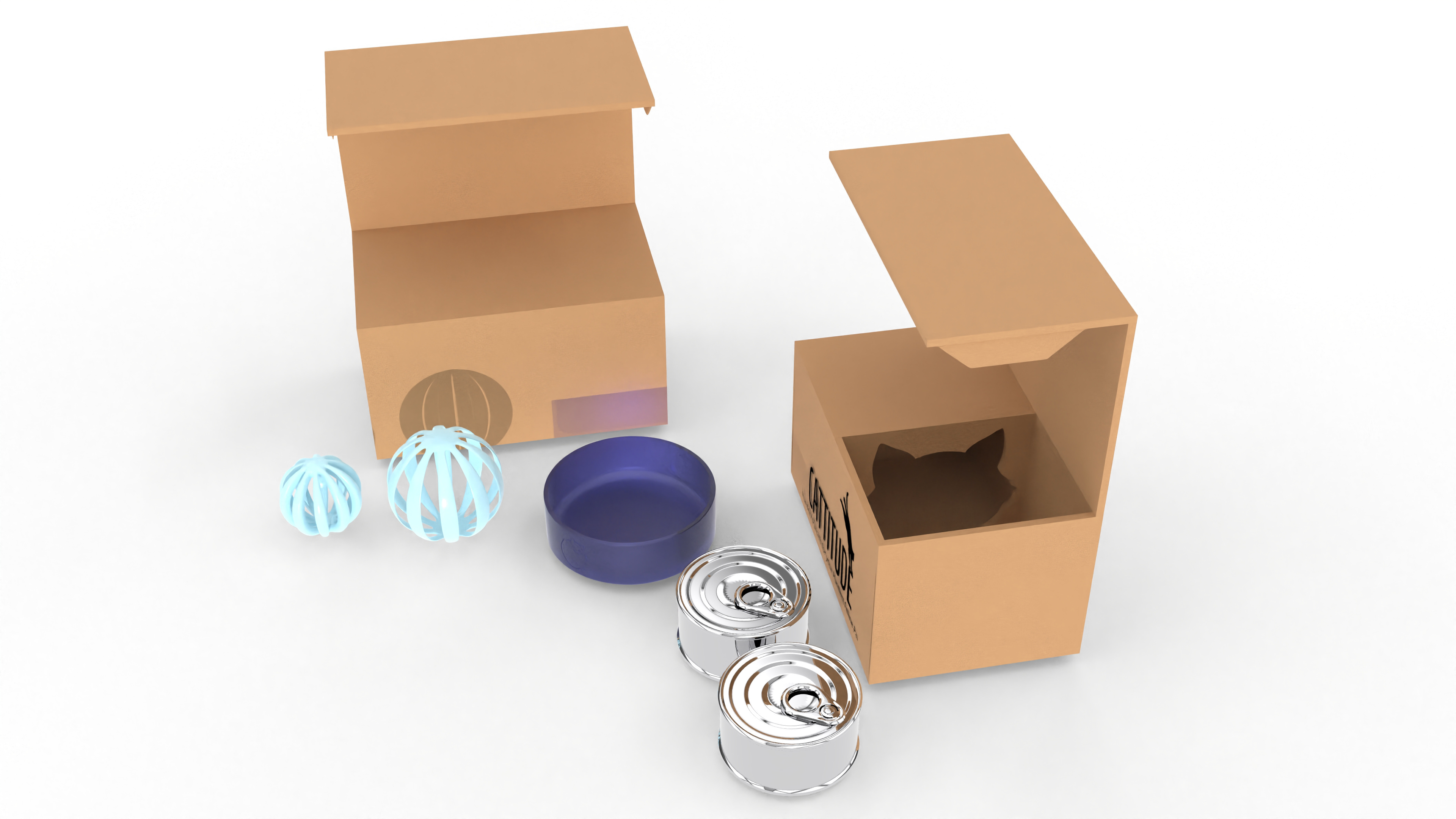 Cattitude: The inside of cat box