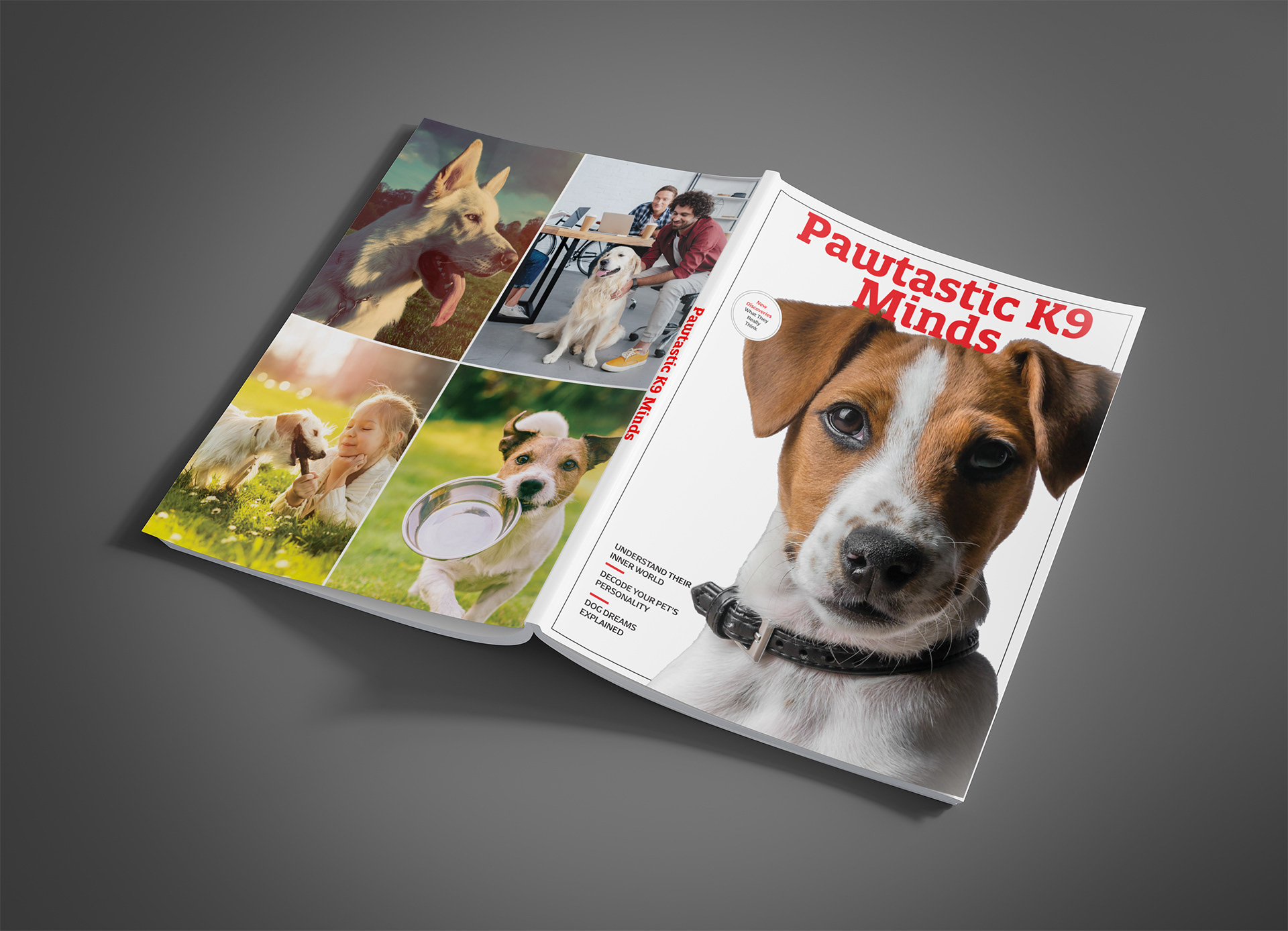 Pawtastic K9 Minds: Front & Back Cover