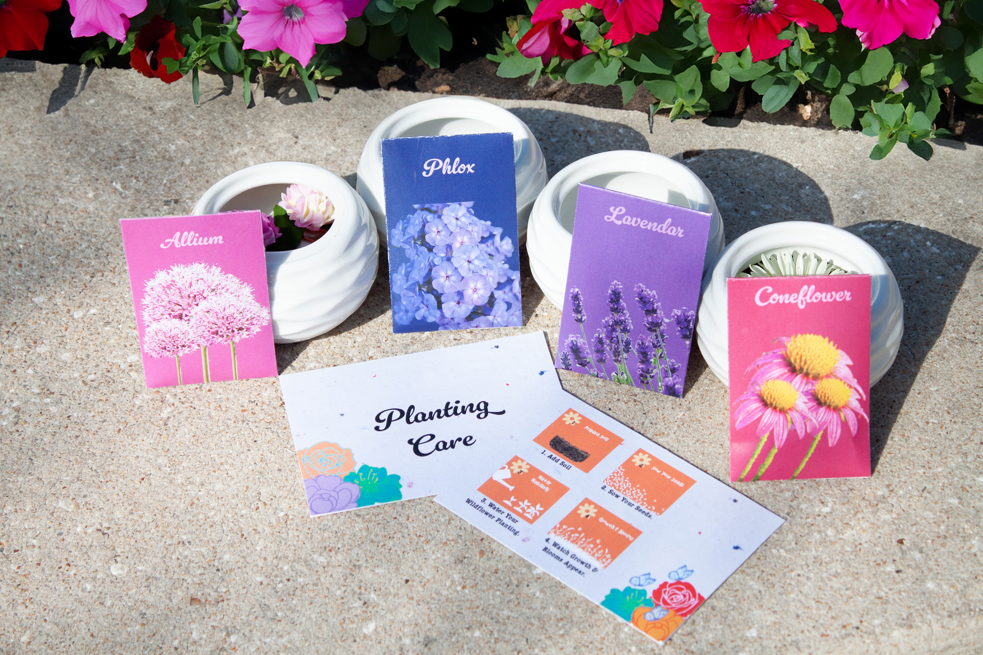 Cosmic Wings: seed packets + planter pots + plants