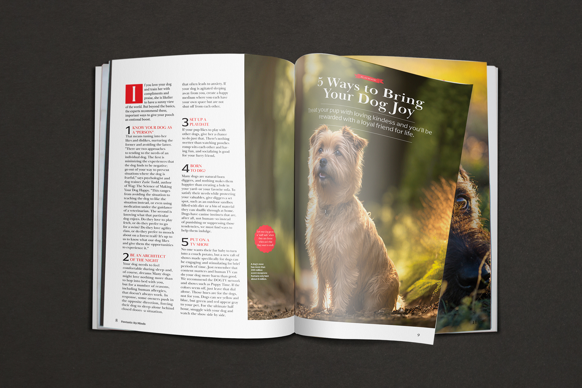 Pawtastic K9 Minds: spread 2