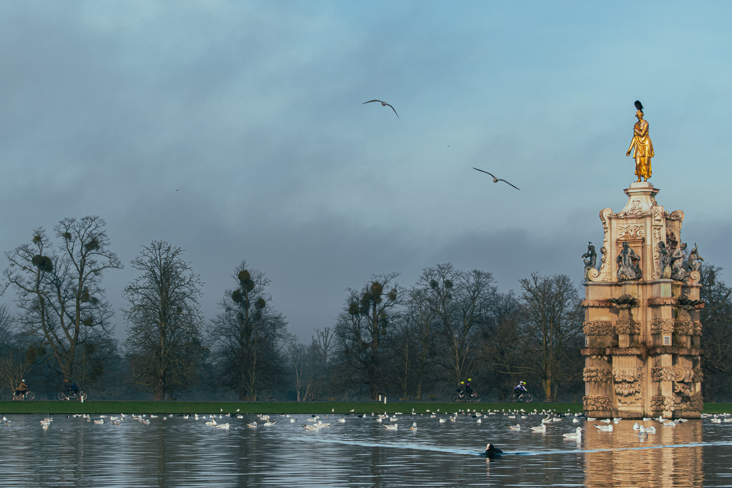 Bushy Park -London Borough