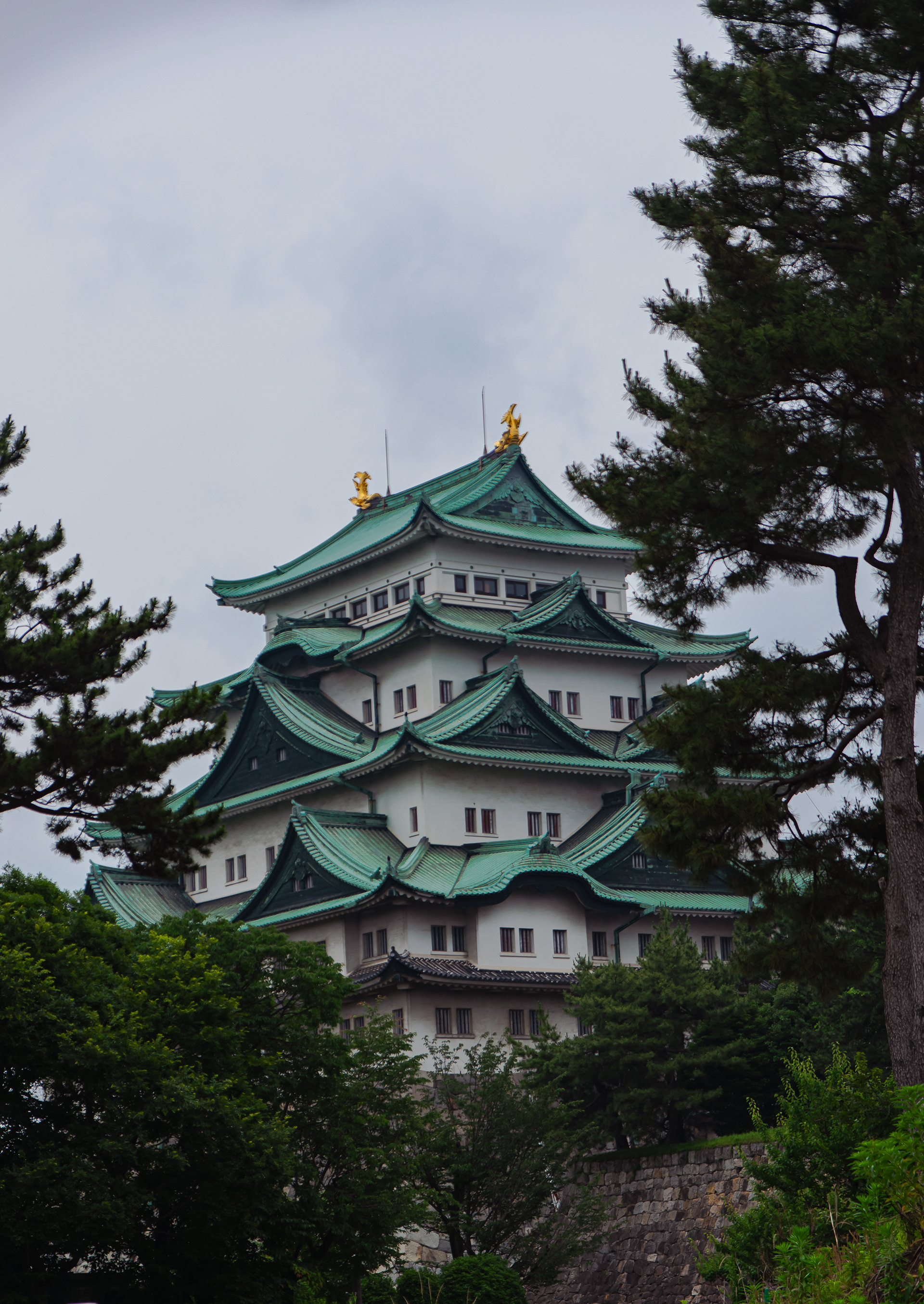 Nagoya Castel | Nagoya 
