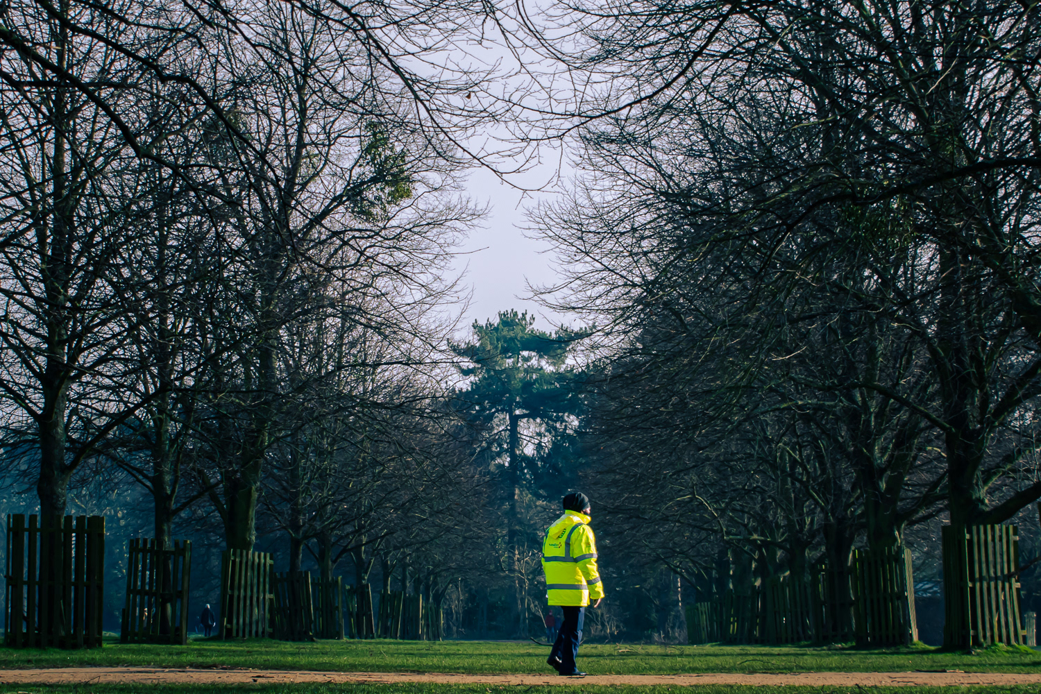Bushy Park -London Borough