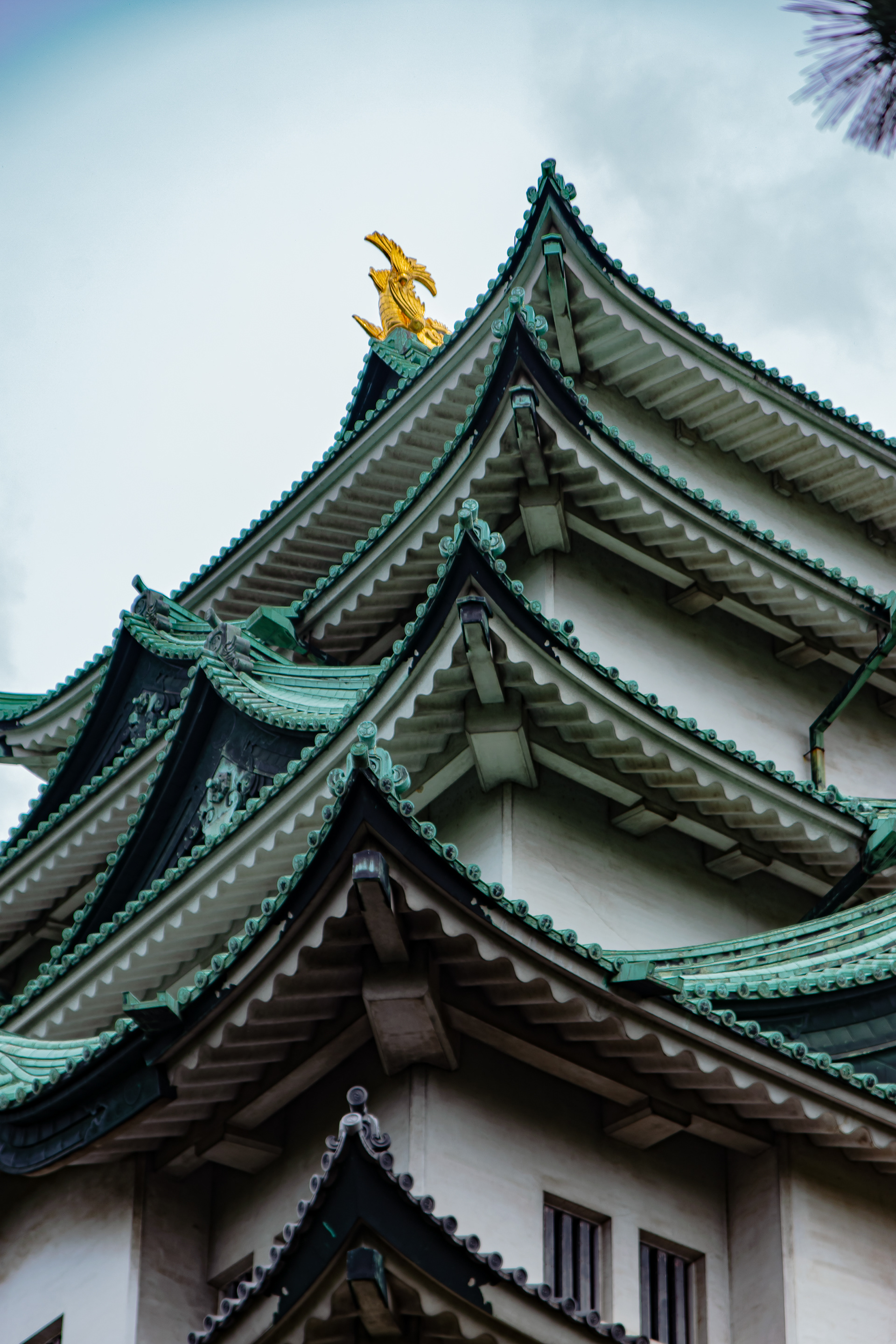 Nagoya Castel | Nagoya 