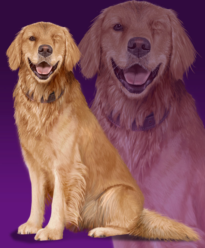 This is my final painted result of Lucky