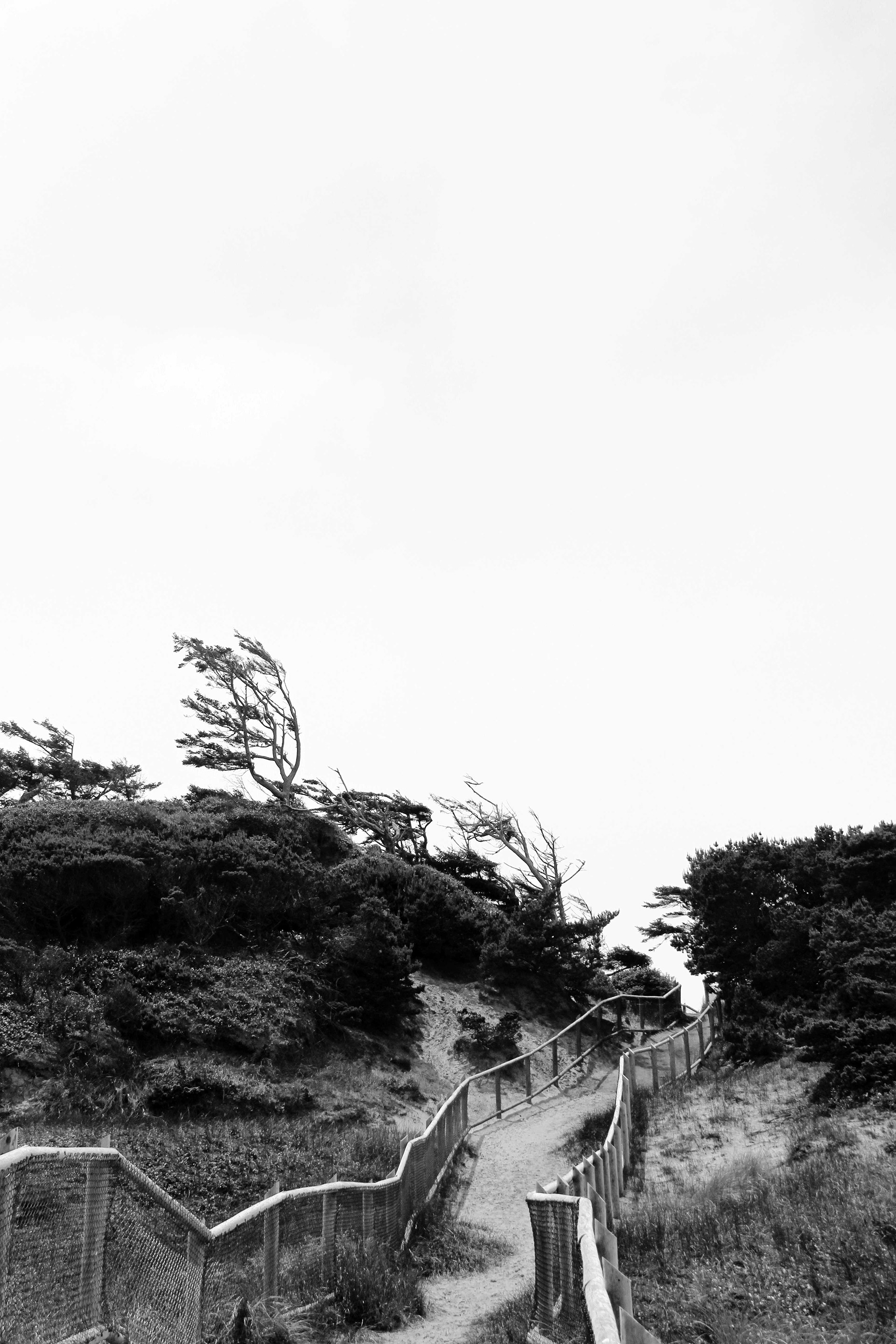 BW3