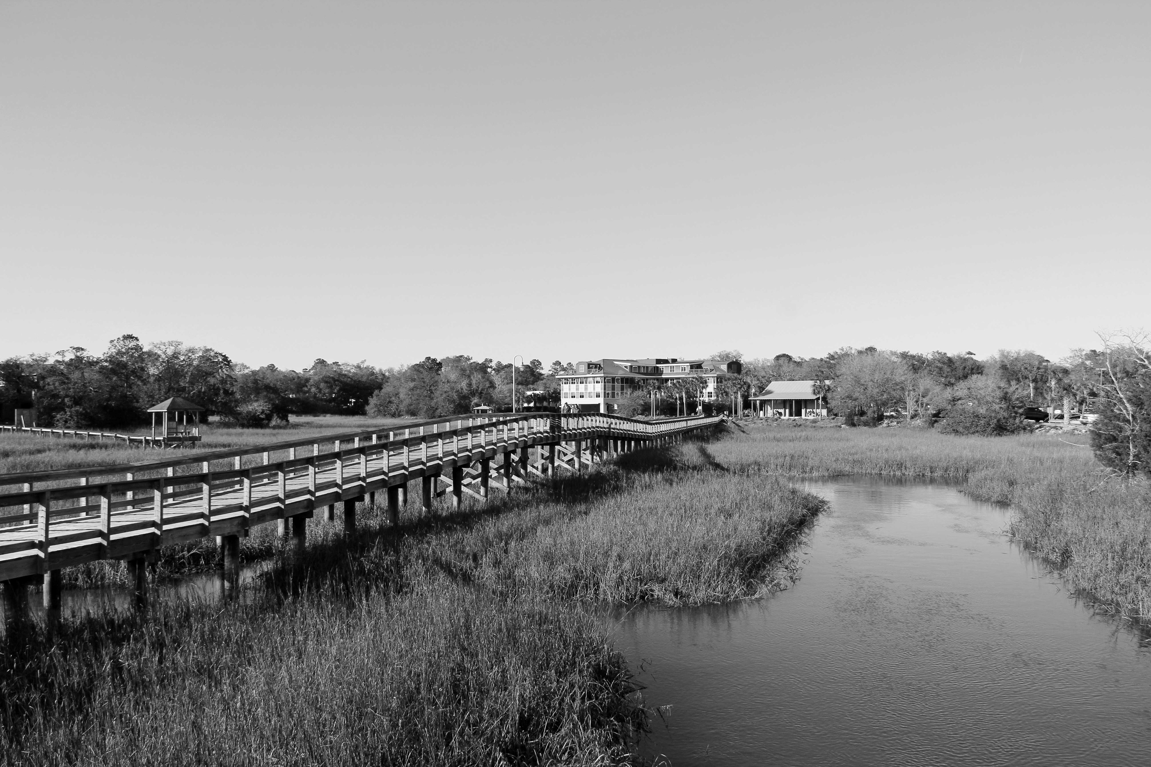 BW19
