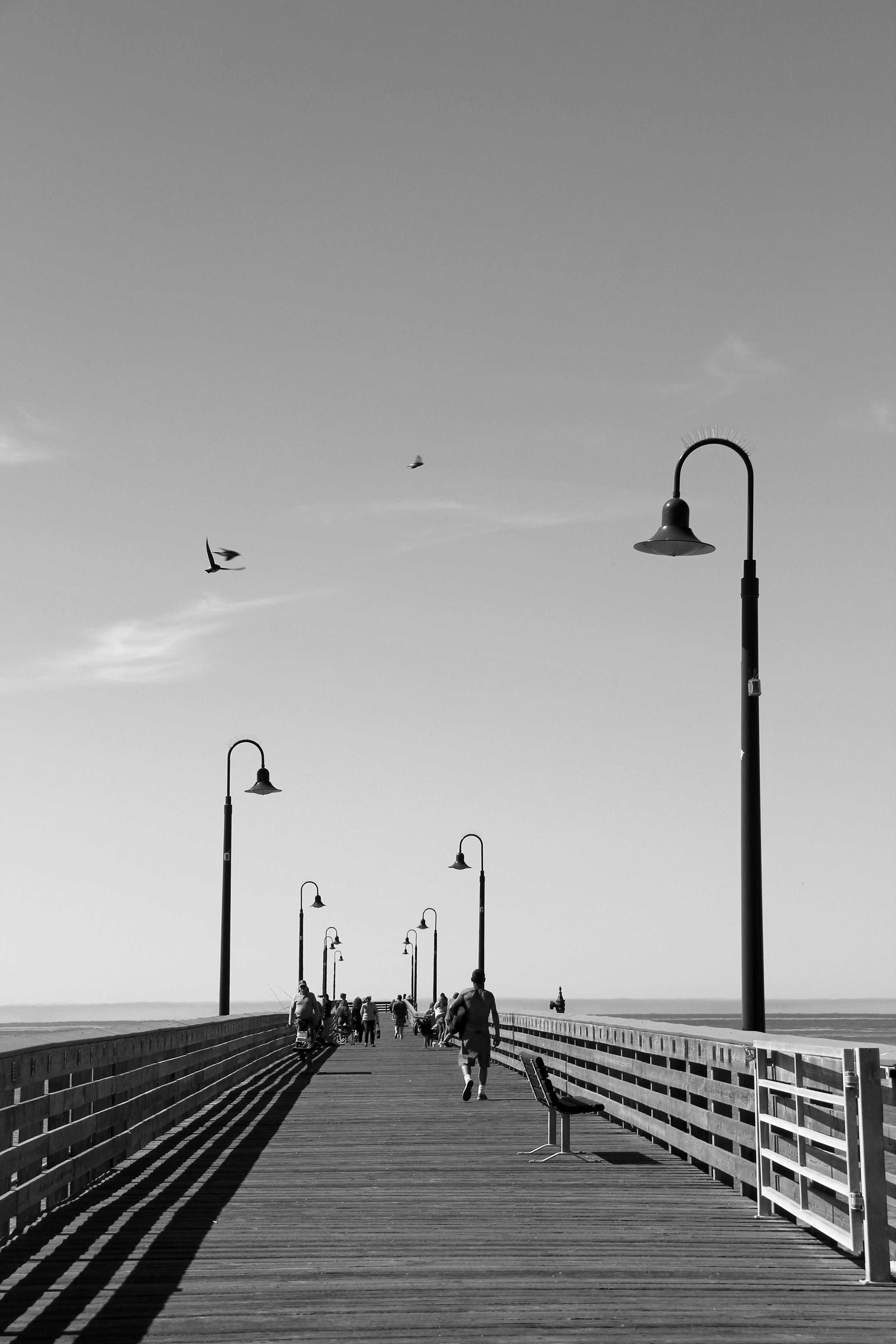 BW20