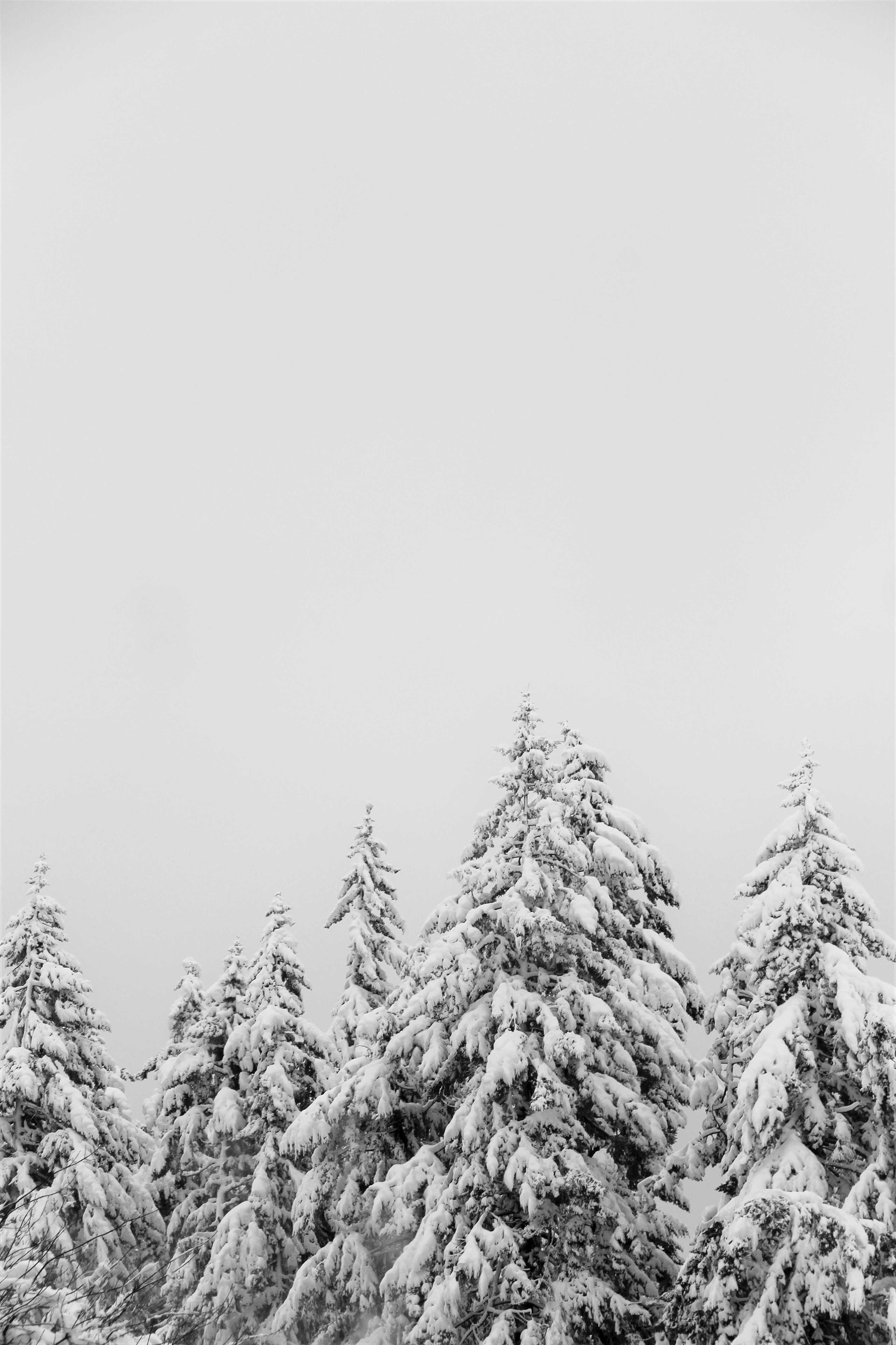 BW18