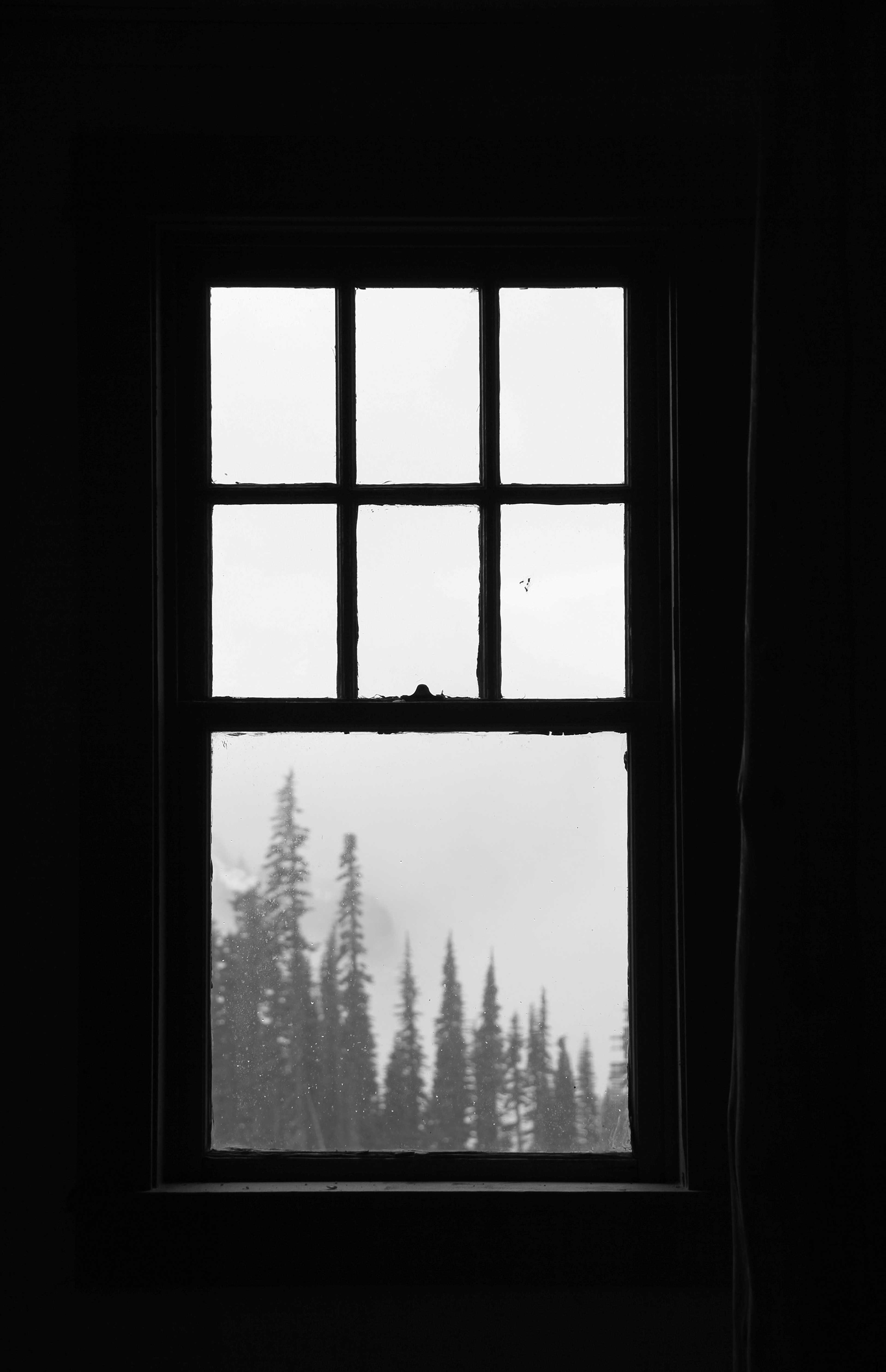 BW8