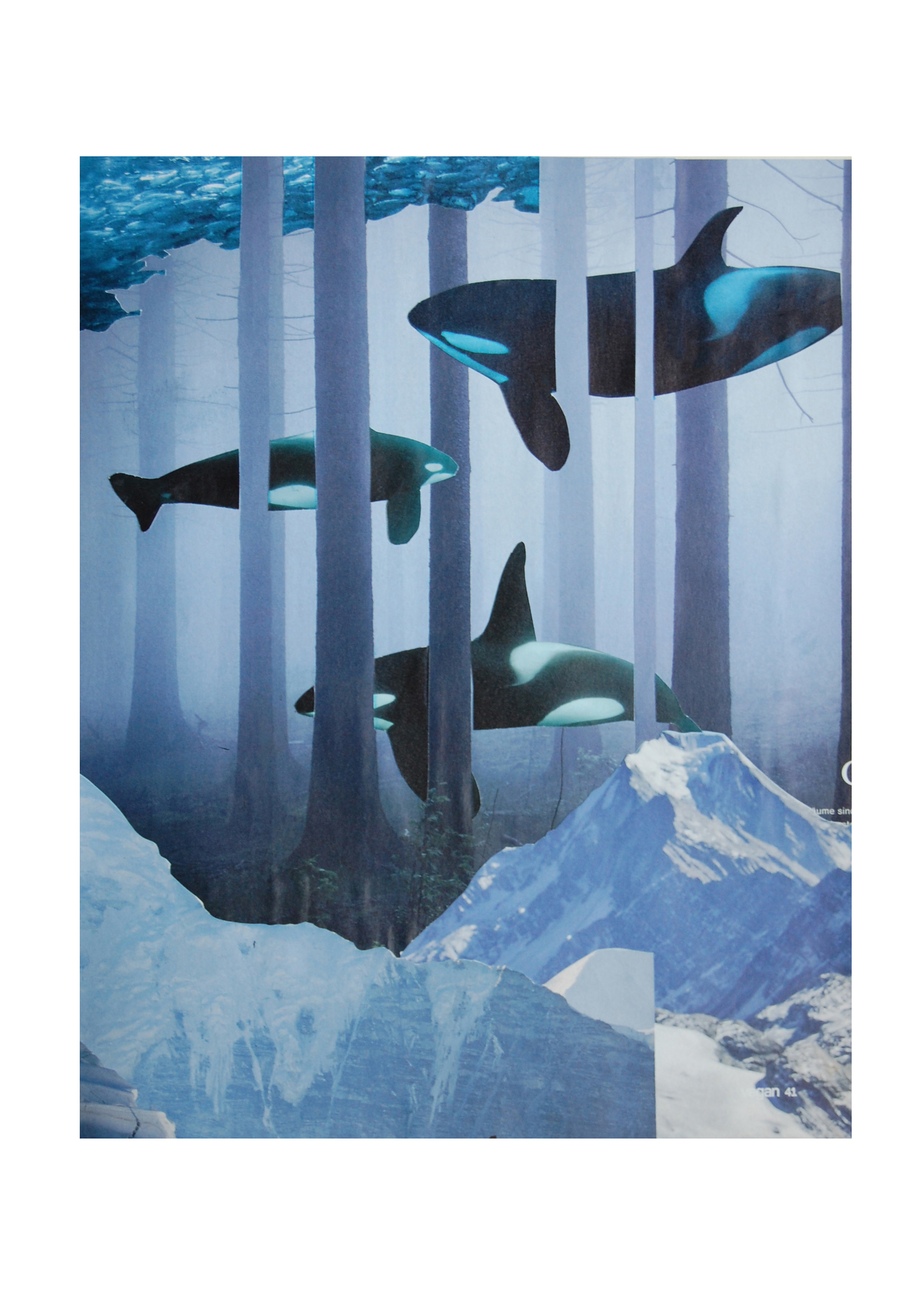 Flying Whales