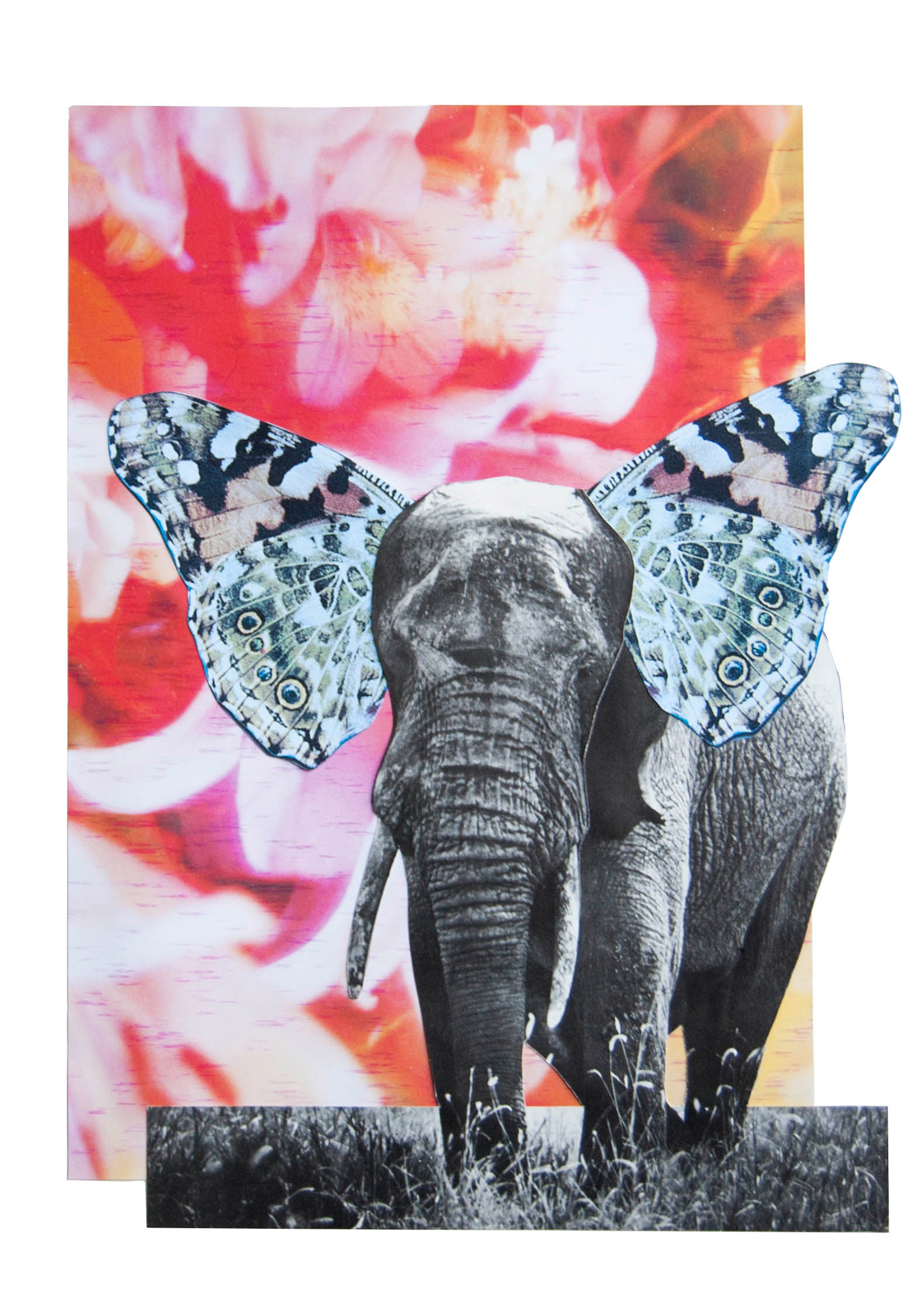 Butterphant