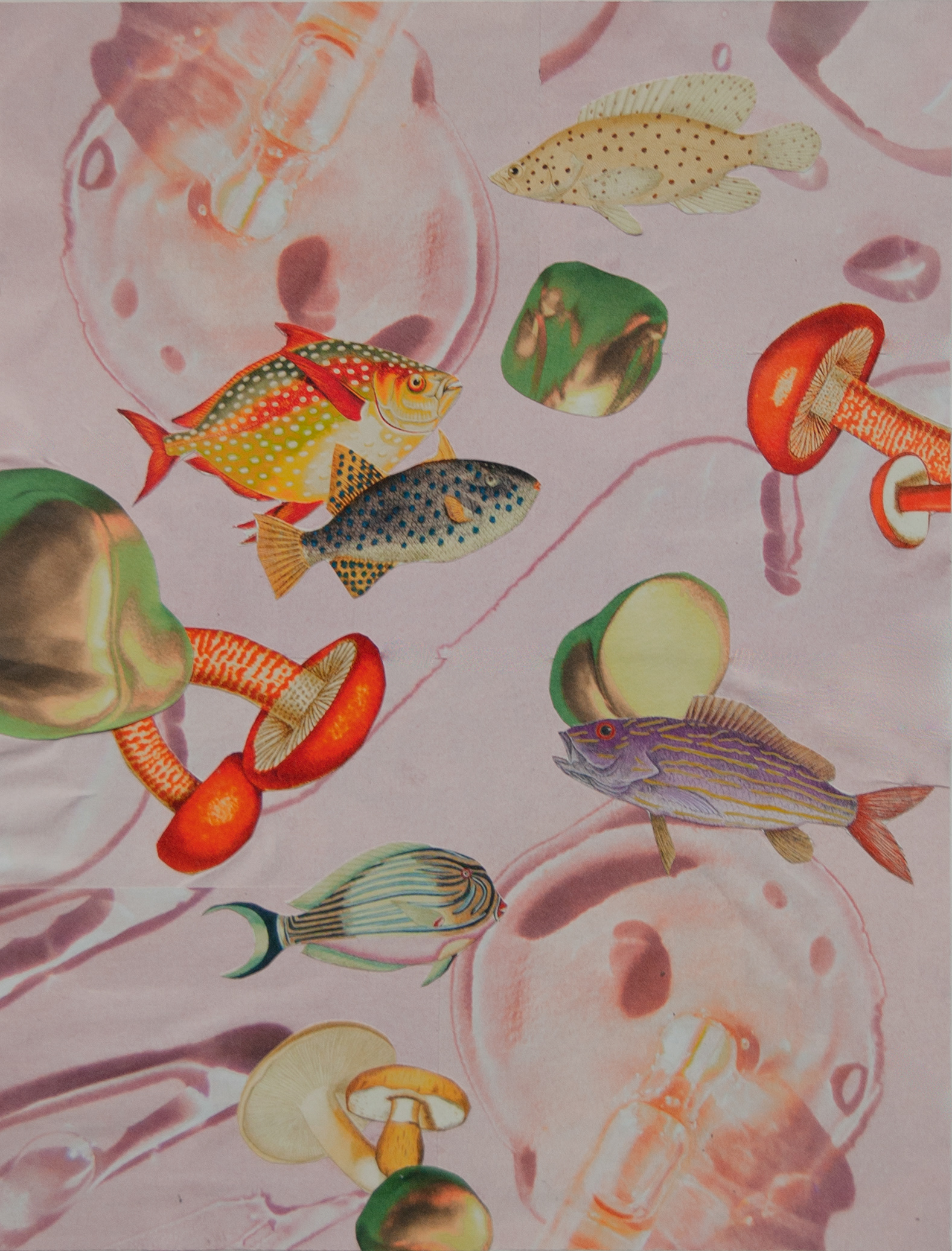 Fishrooms