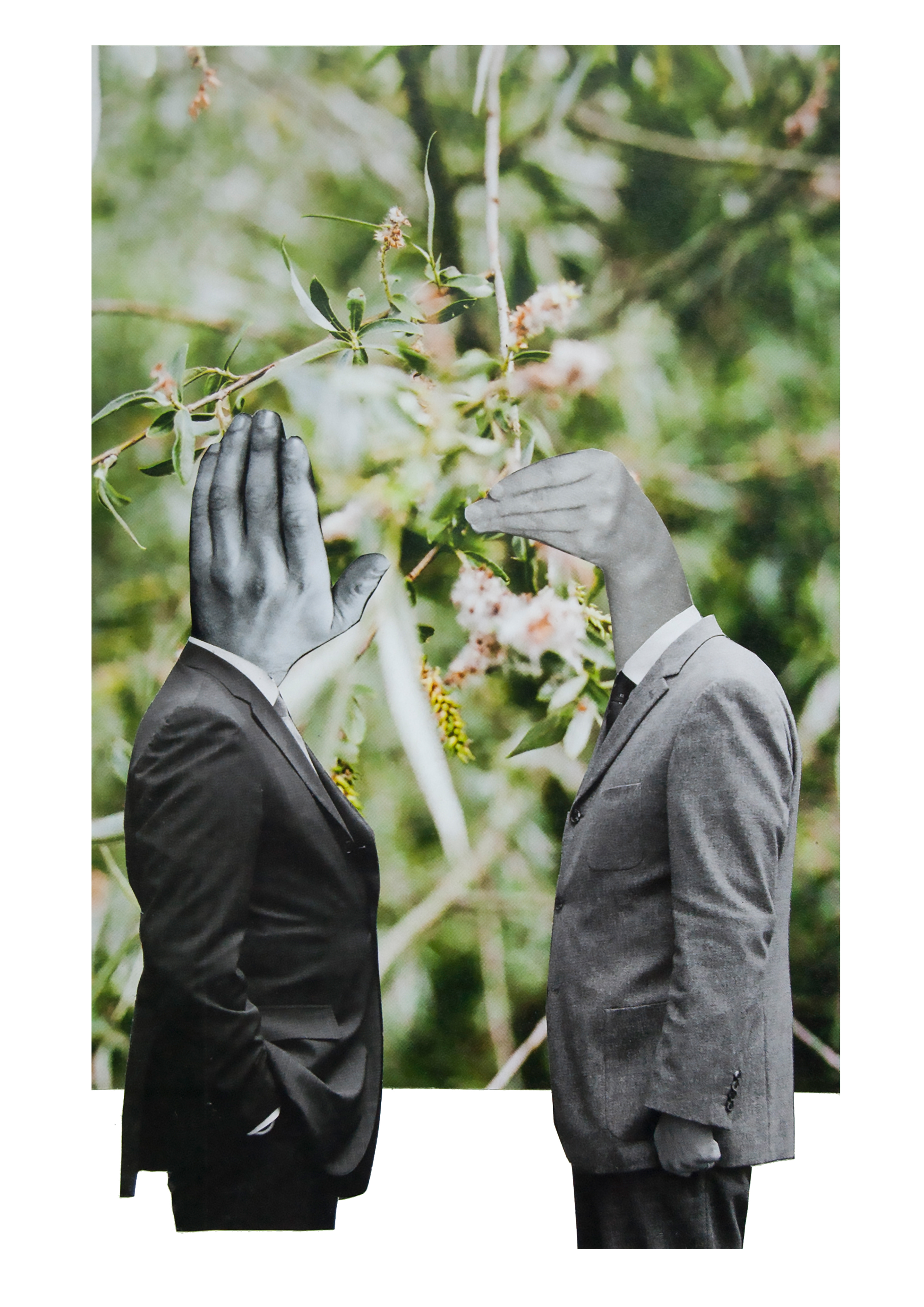 Talking Hands