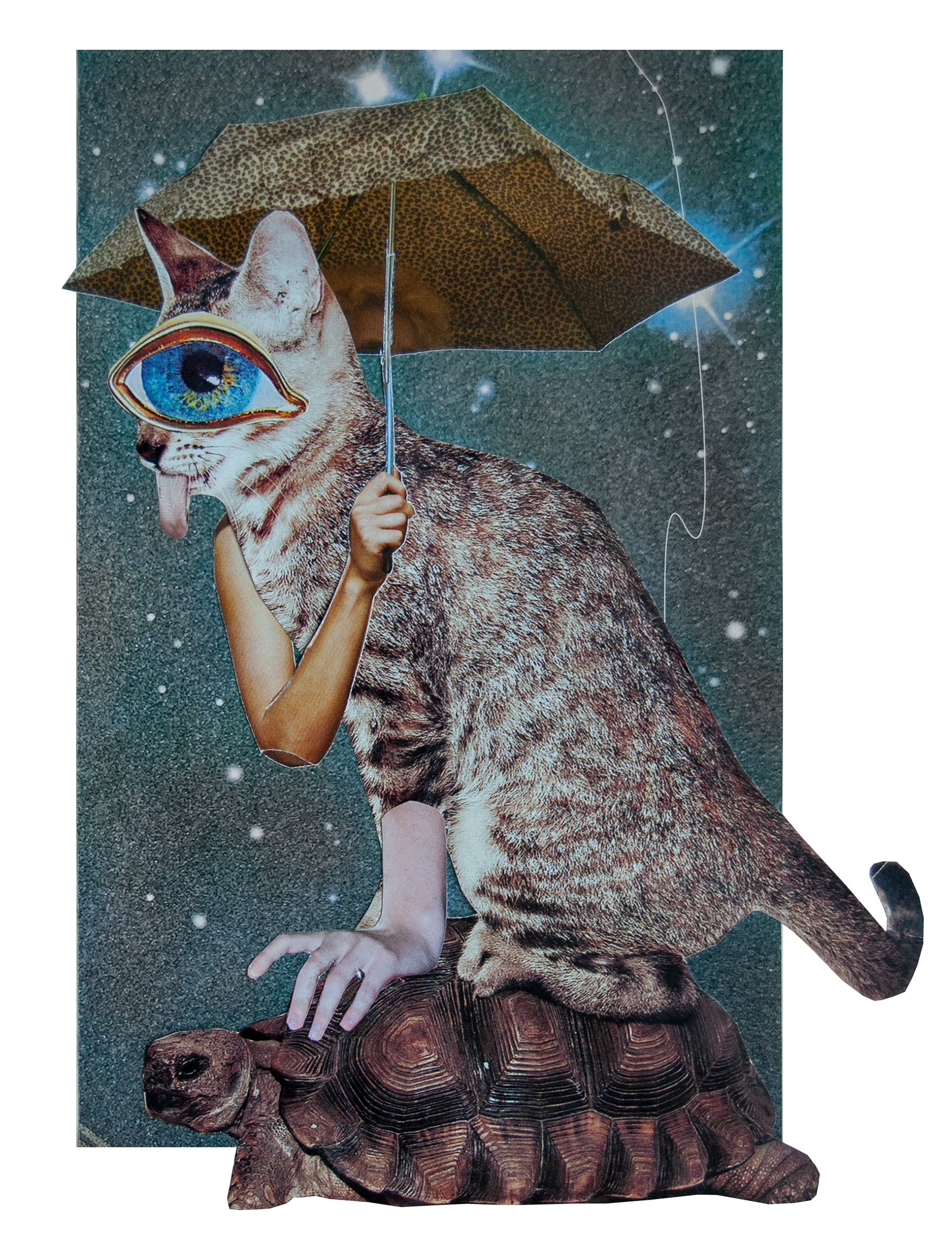 Space Cat