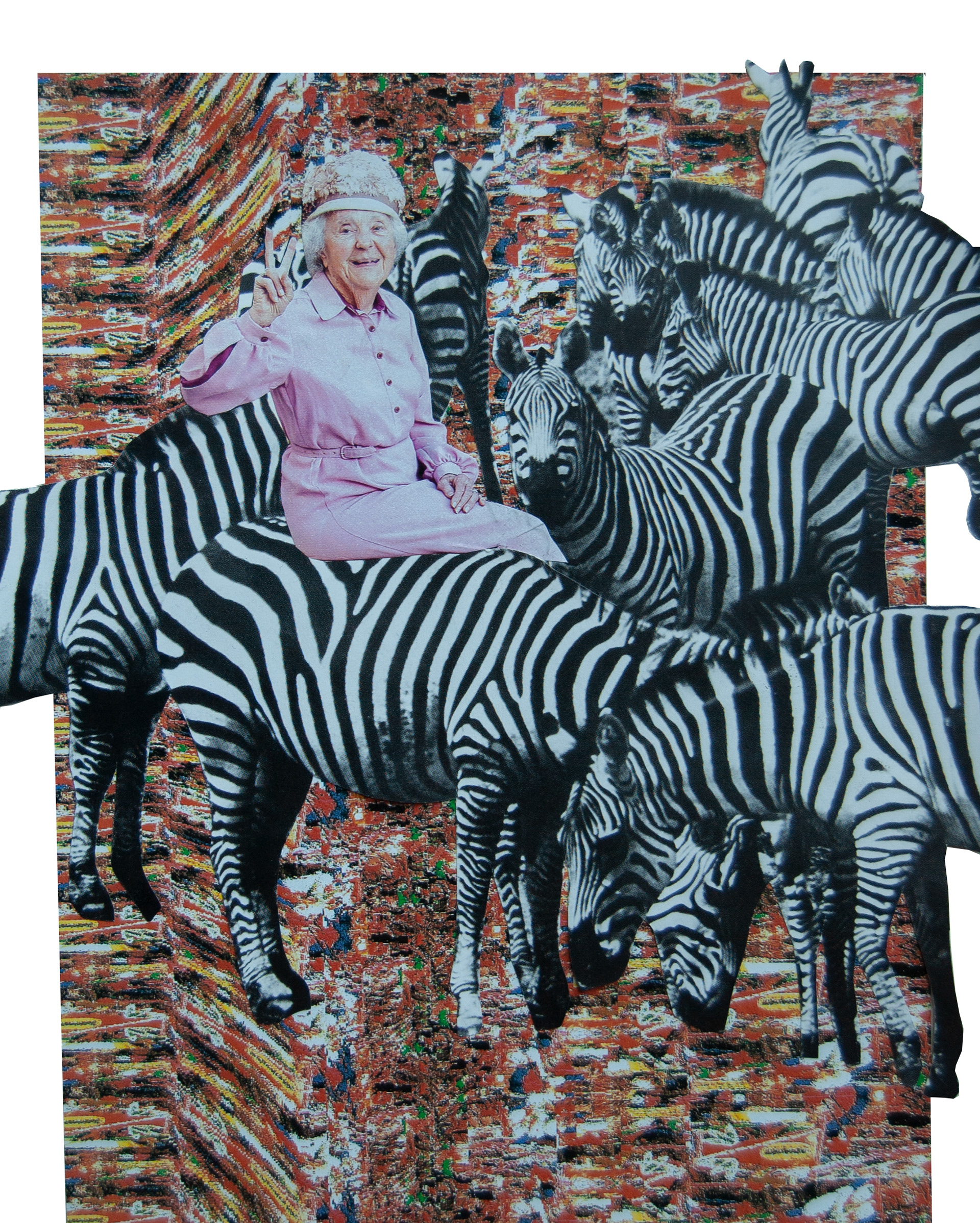 Zebra