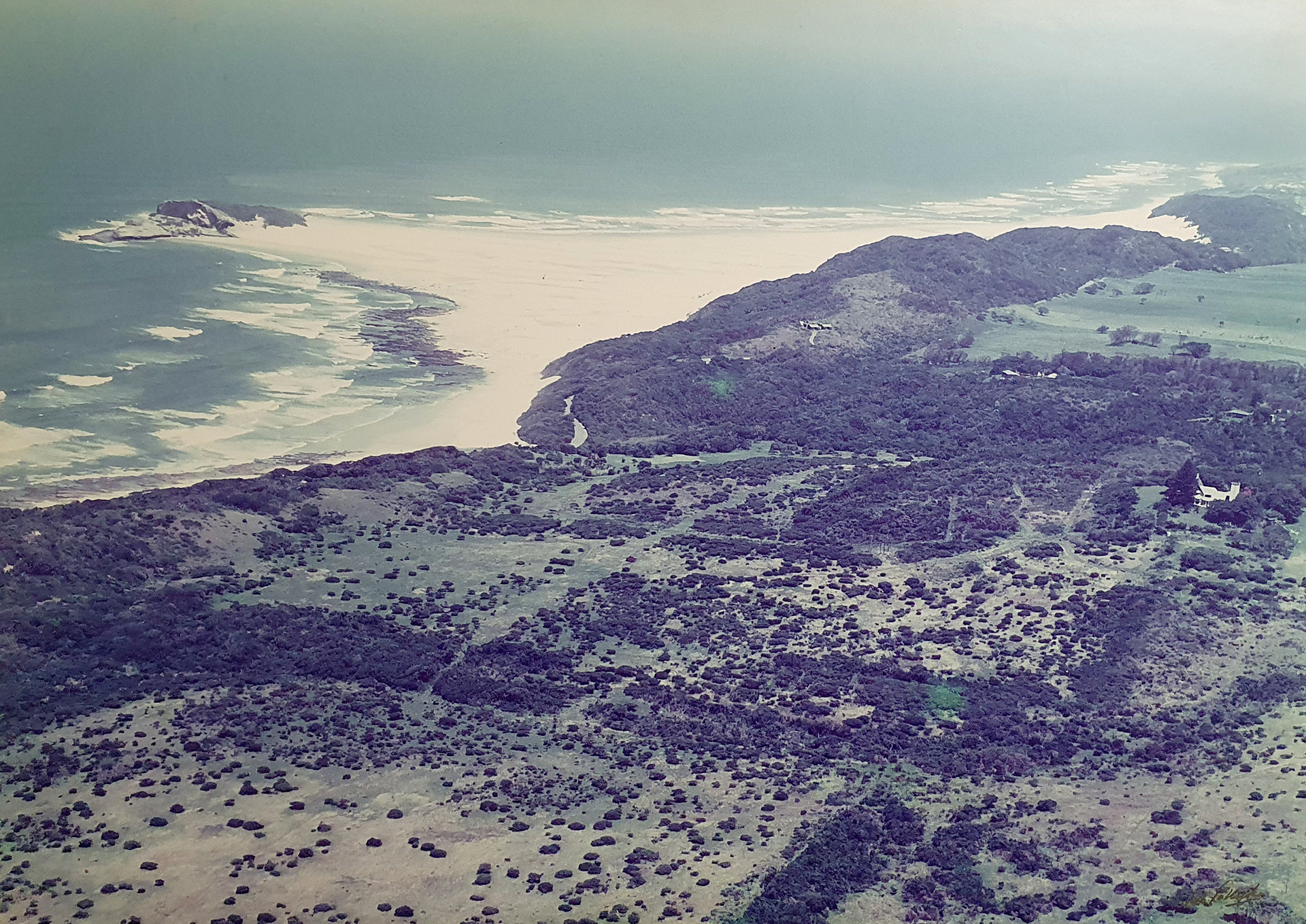 Early 1990's